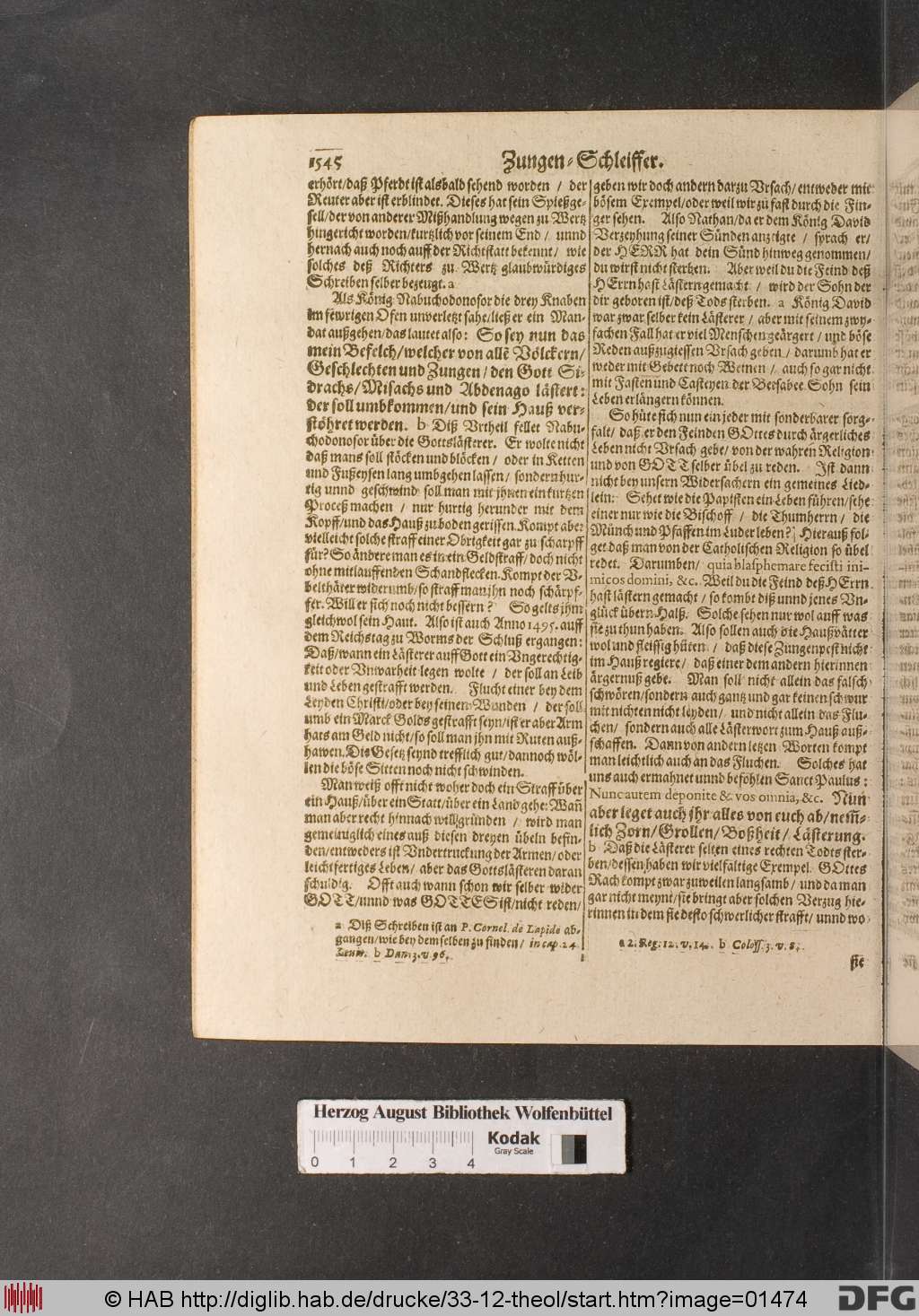 http://diglib.hab.de/drucke/33-12-theol/01474.jpg