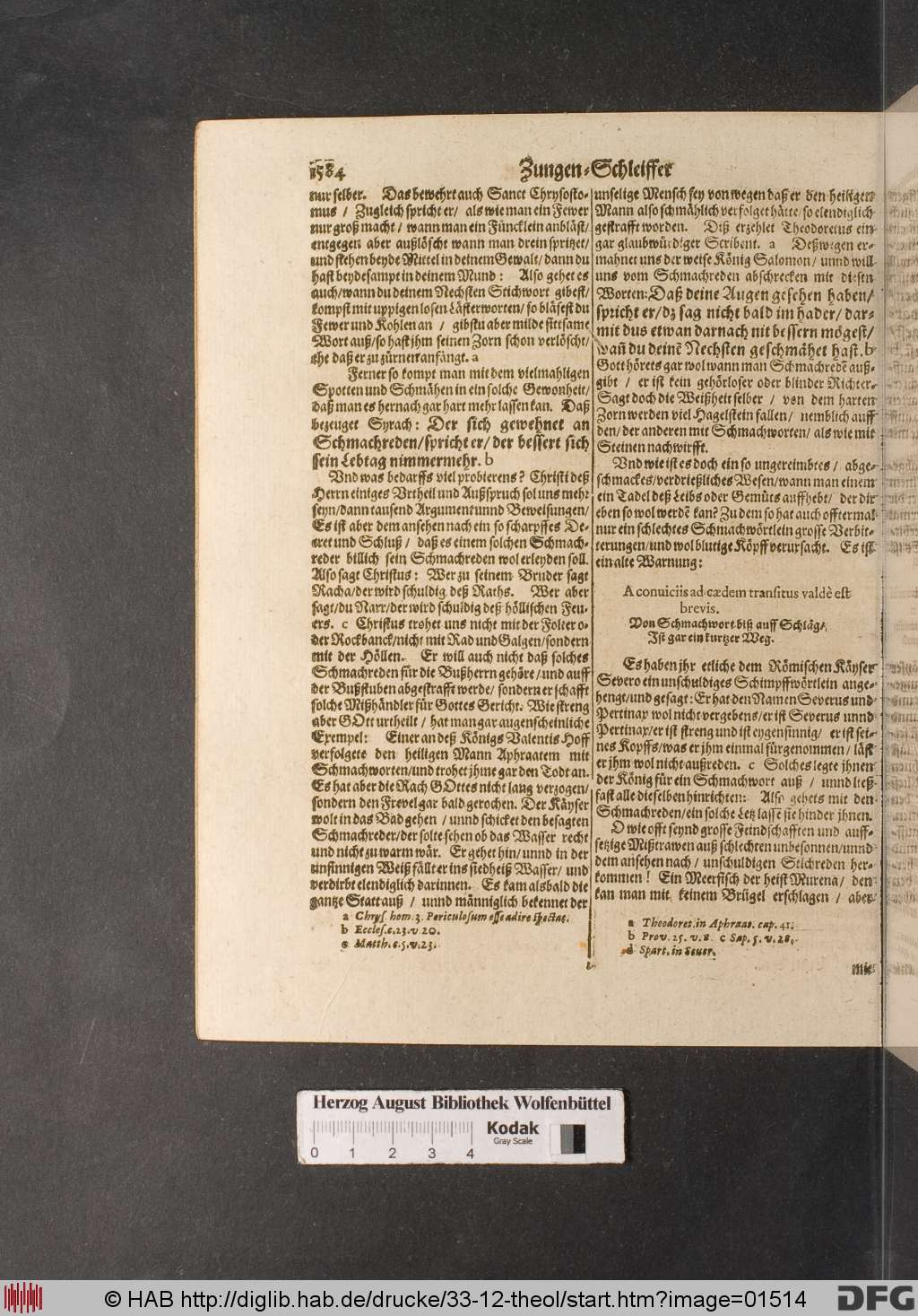 http://diglib.hab.de/drucke/33-12-theol/01514.jpg
