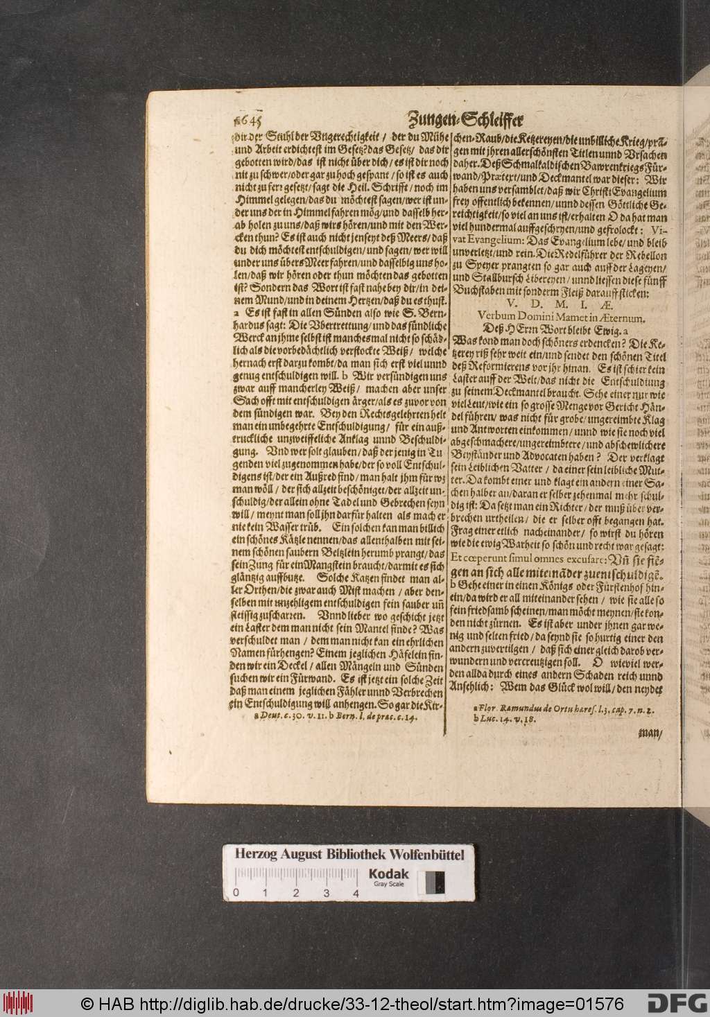 http://diglib.hab.de/drucke/33-12-theol/01576.jpg