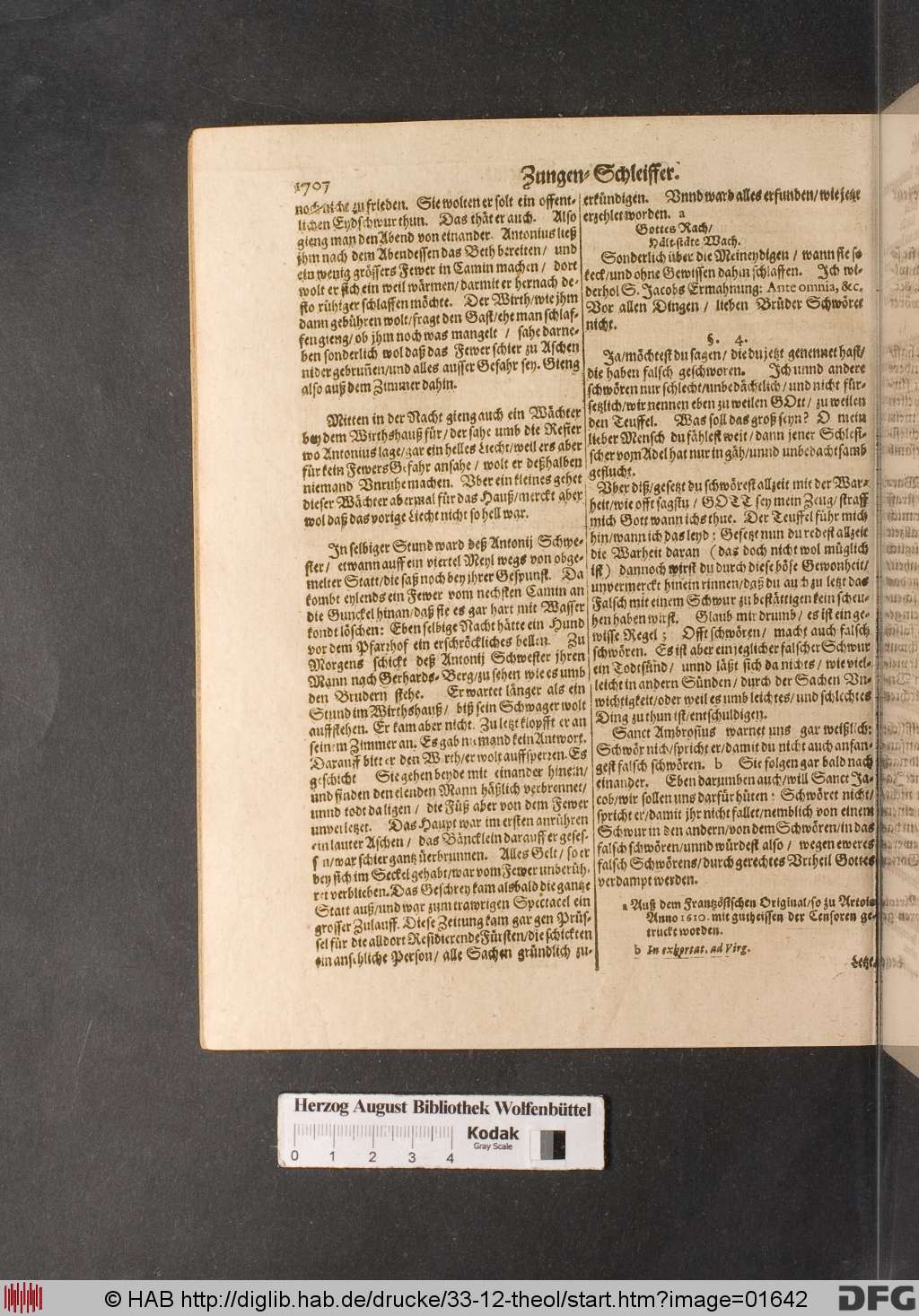 http://diglib.hab.de/drucke/33-12-theol/01642.jpg