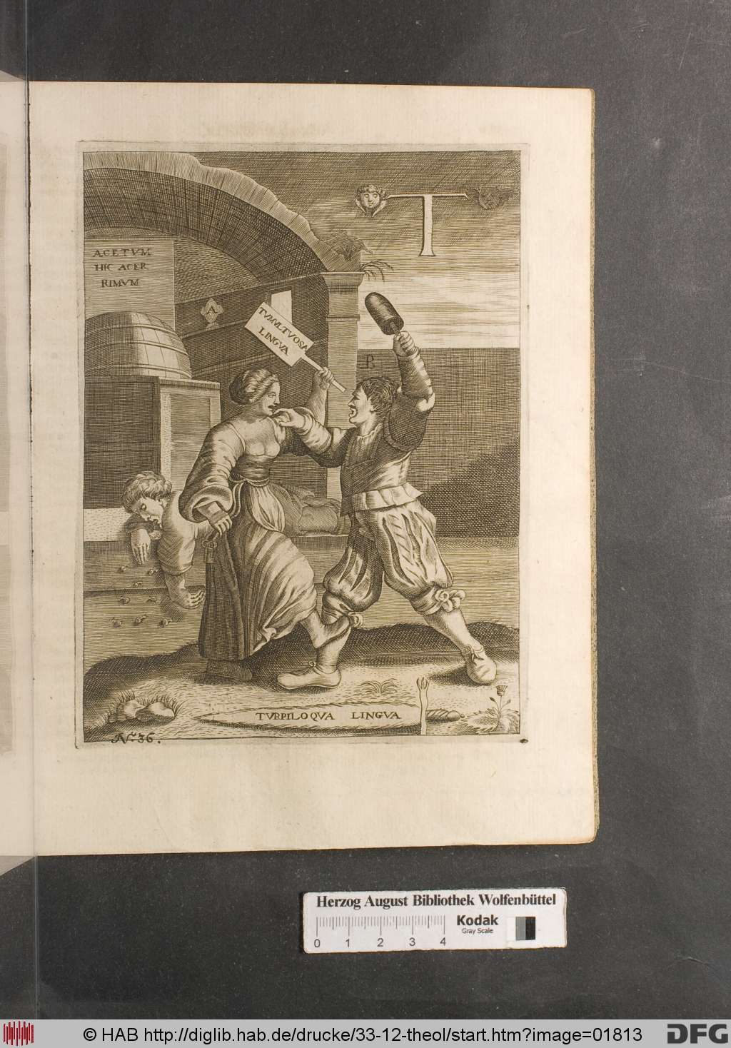http://diglib.hab.de/drucke/33-12-theol/01813.jpg