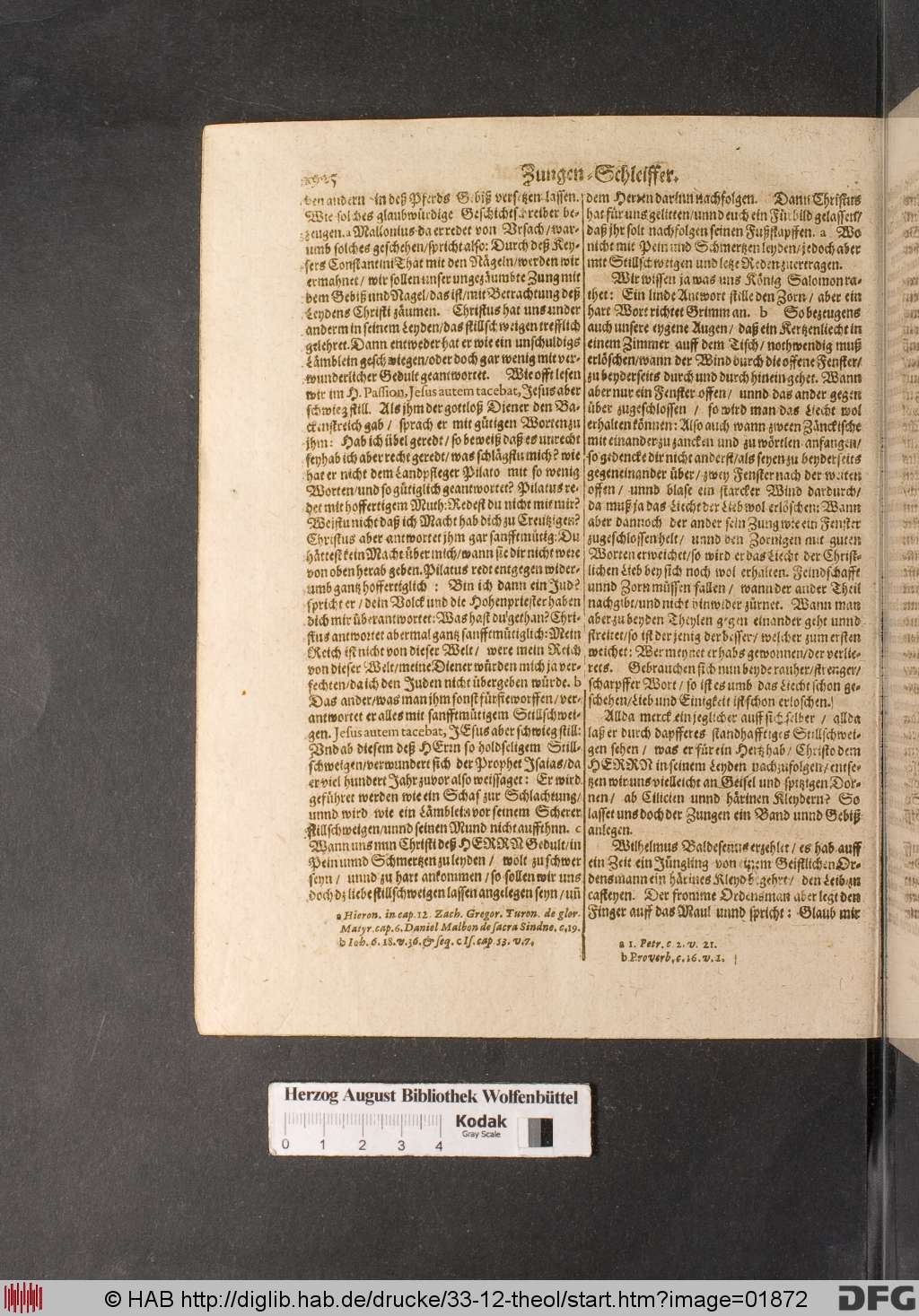 http://diglib.hab.de/drucke/33-12-theol/01872.jpg