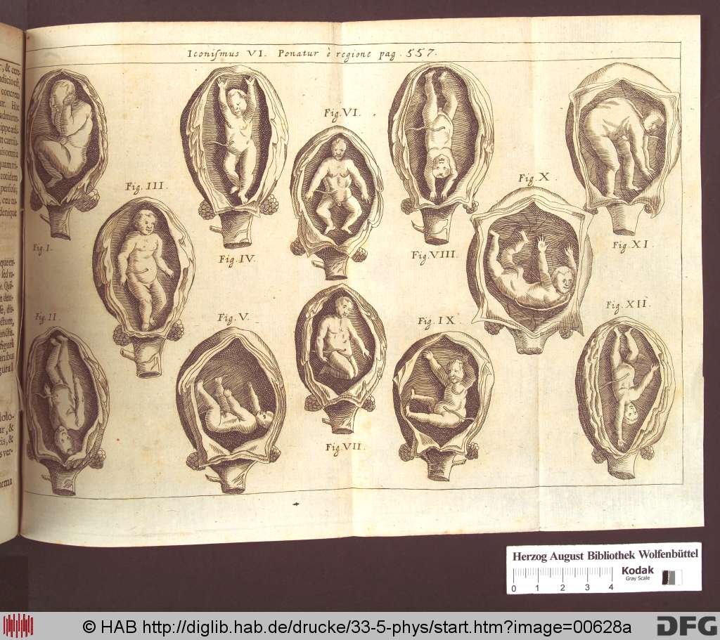 http://diglib.hab.de/drucke/33-5-phys/00628a.jpg
