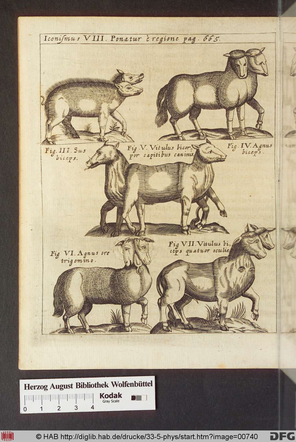 http://diglib.hab.de/drucke/33-5-phys/00740.jpg