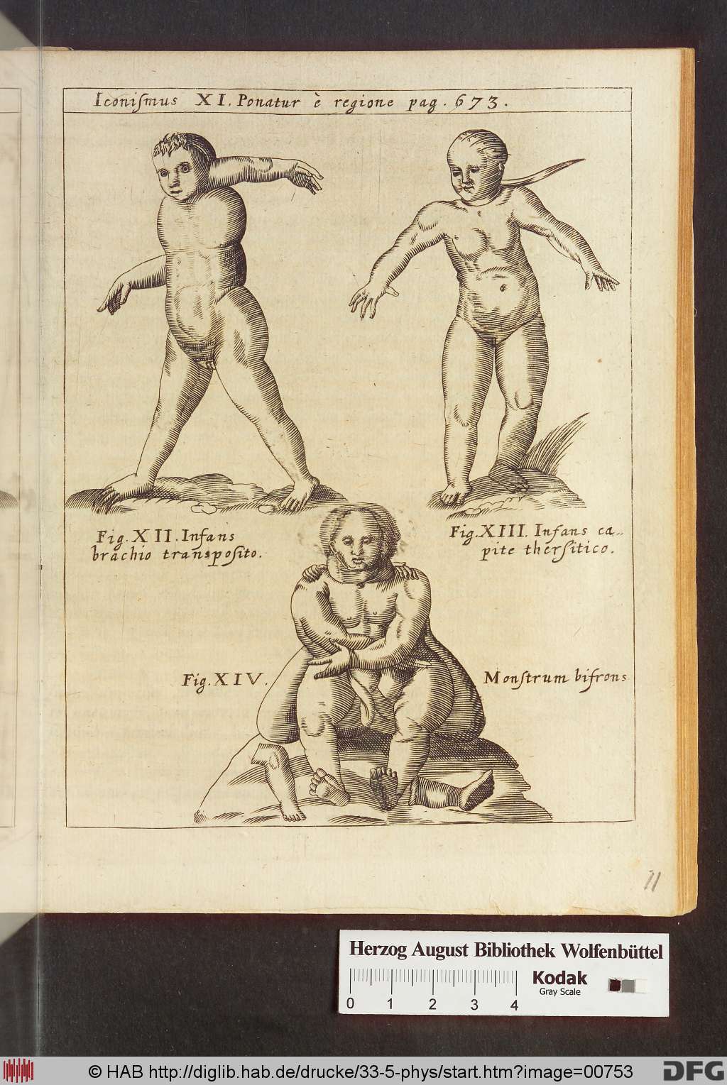 http://diglib.hab.de/drucke/33-5-phys/00753.jpg