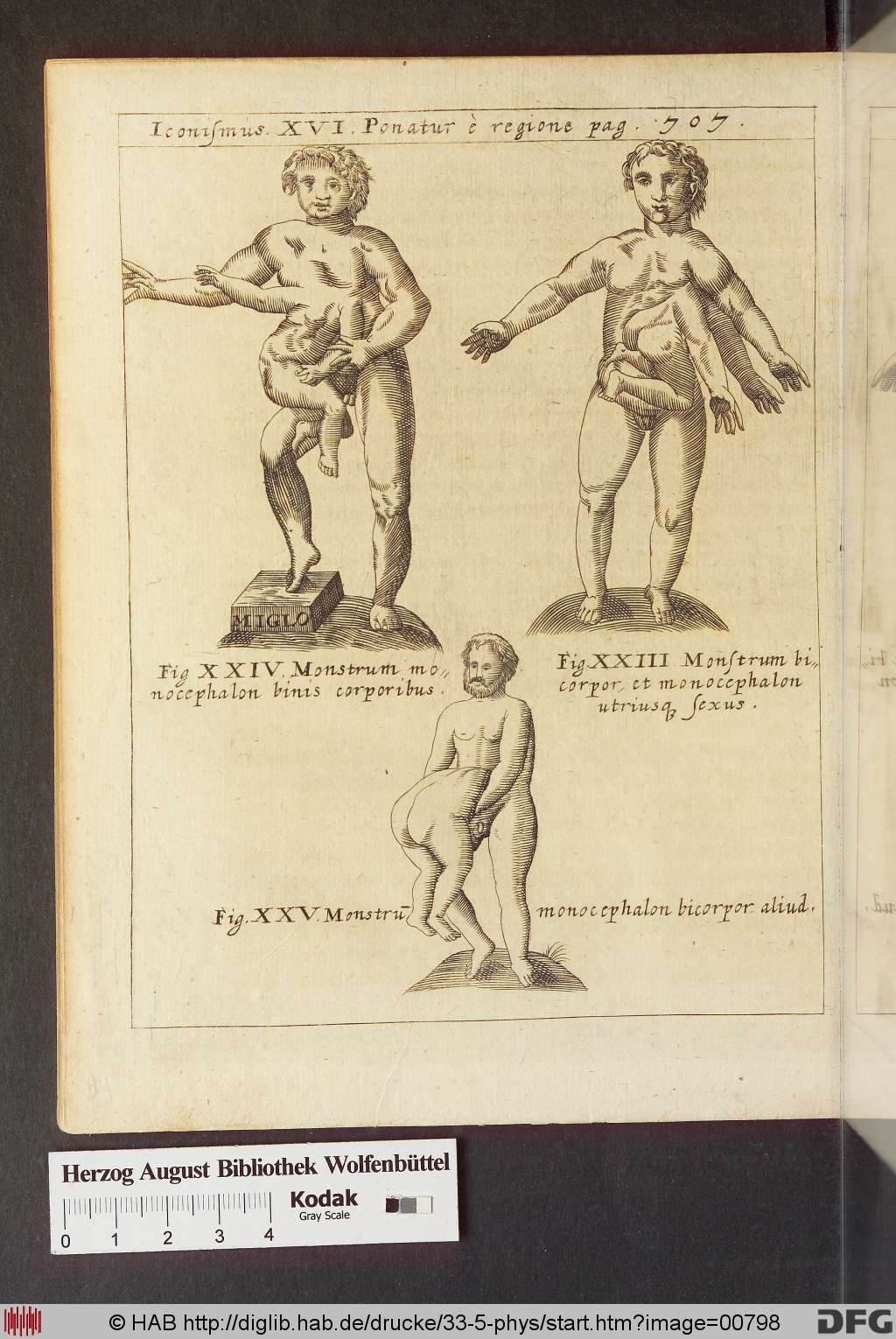 http://diglib.hab.de/drucke/33-5-phys/00798.jpg