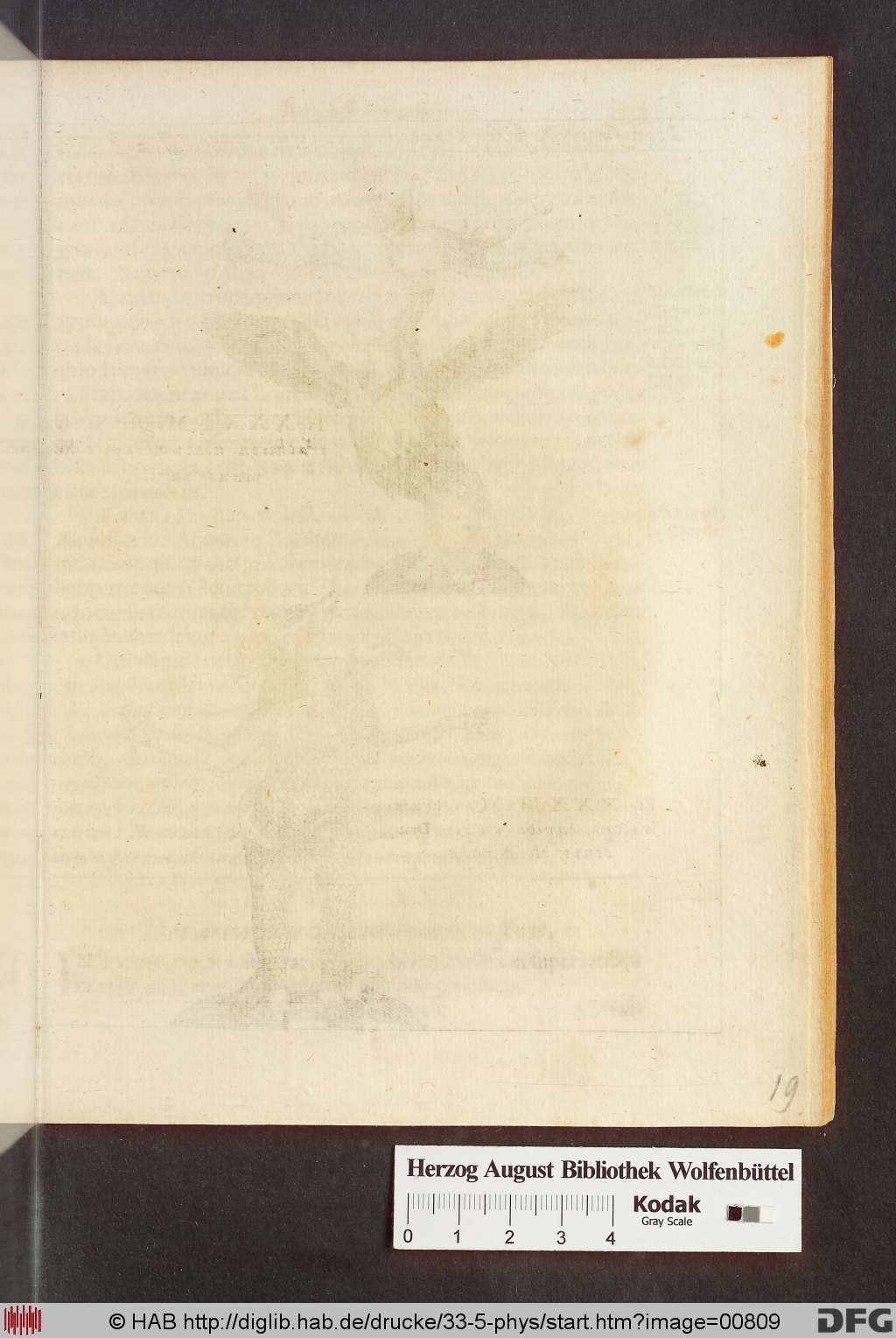 http://diglib.hab.de/drucke/33-5-phys/00809.jpg