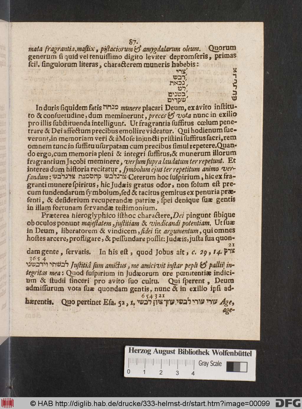 http://diglib.hab.de/drucke/333-helmst-dr/00099.jpg