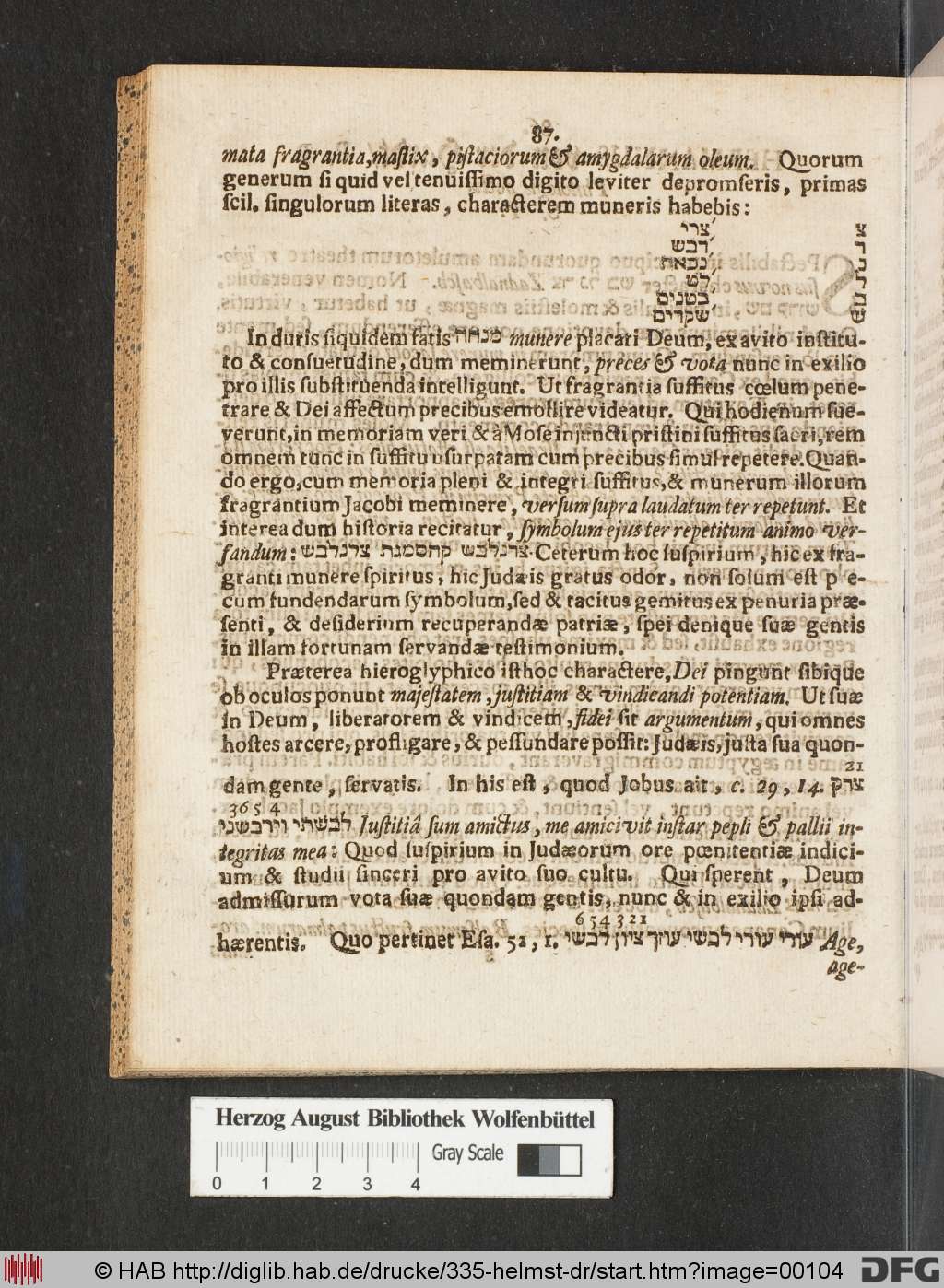 http://diglib.hab.de/drucke/335-helmst-dr/00104.jpg