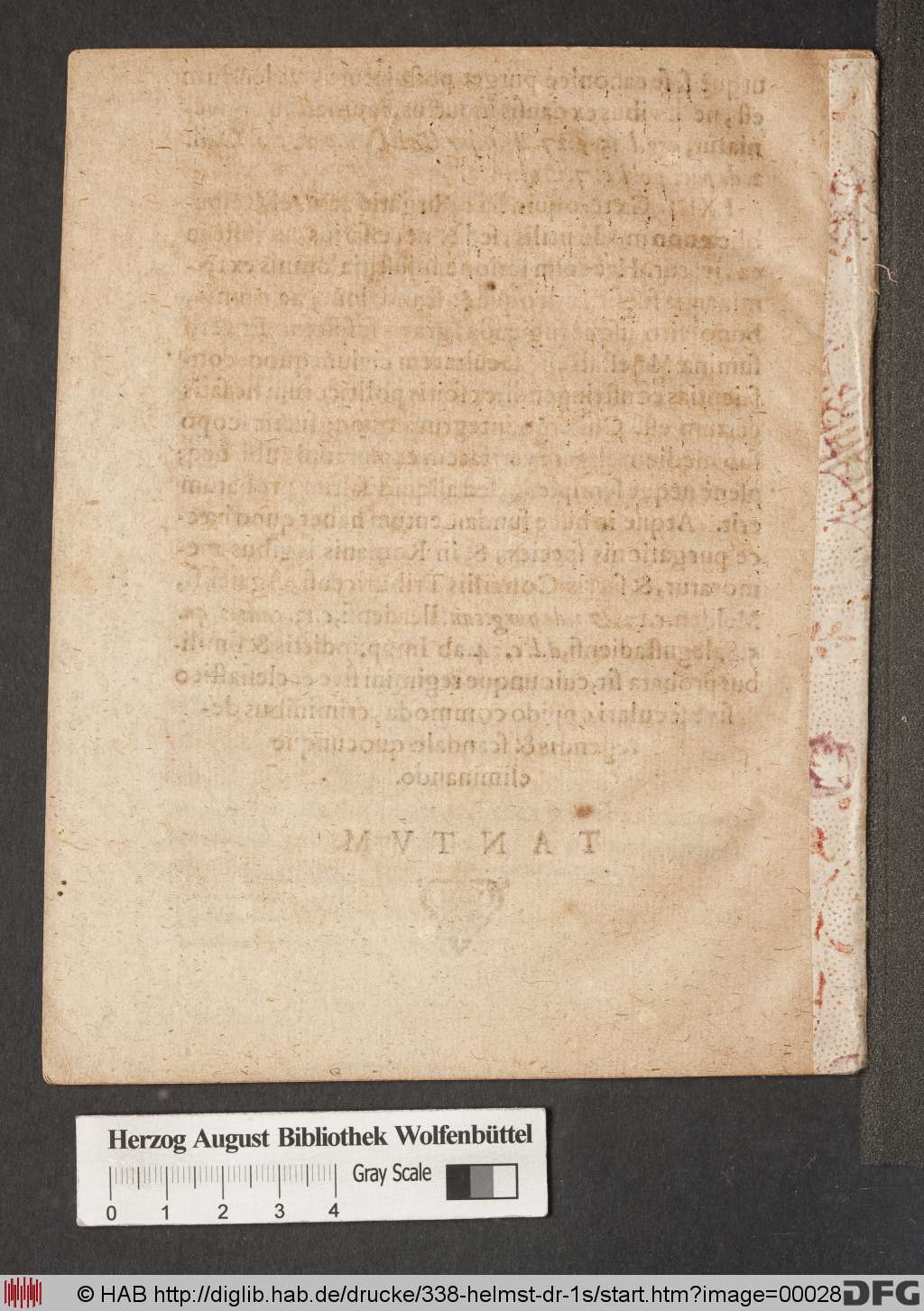 http://diglib.hab.de/drucke/338-helmst-dr-1s/00028.jpg