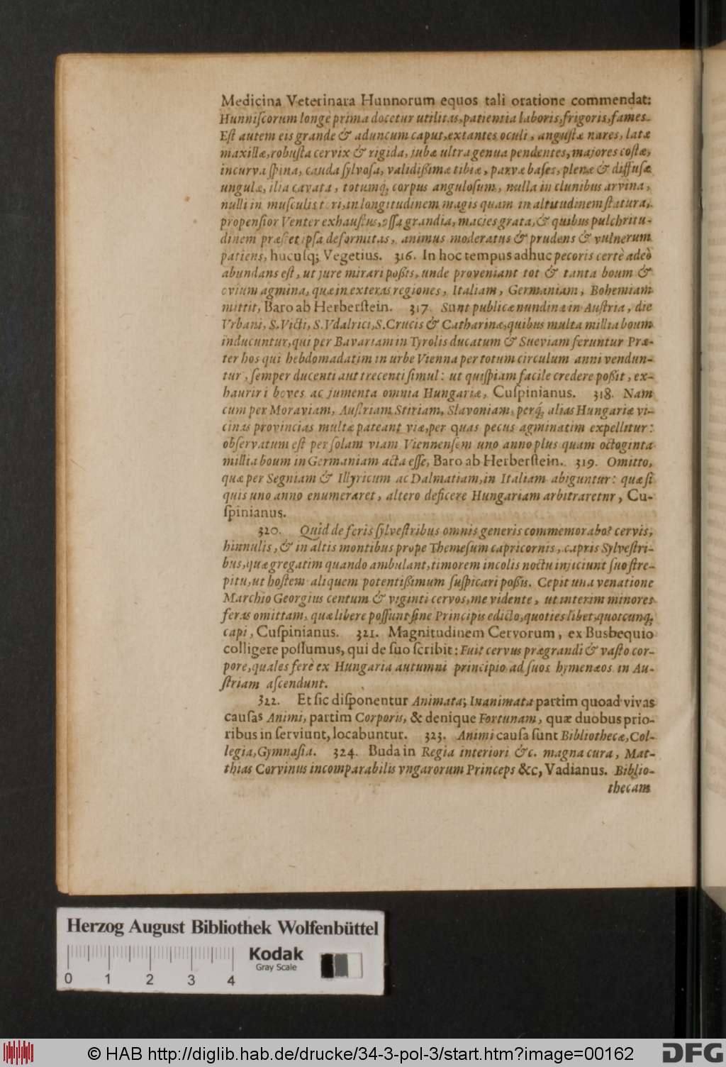 http://diglib.hab.de/drucke/34-3-pol-3/00162.jpg