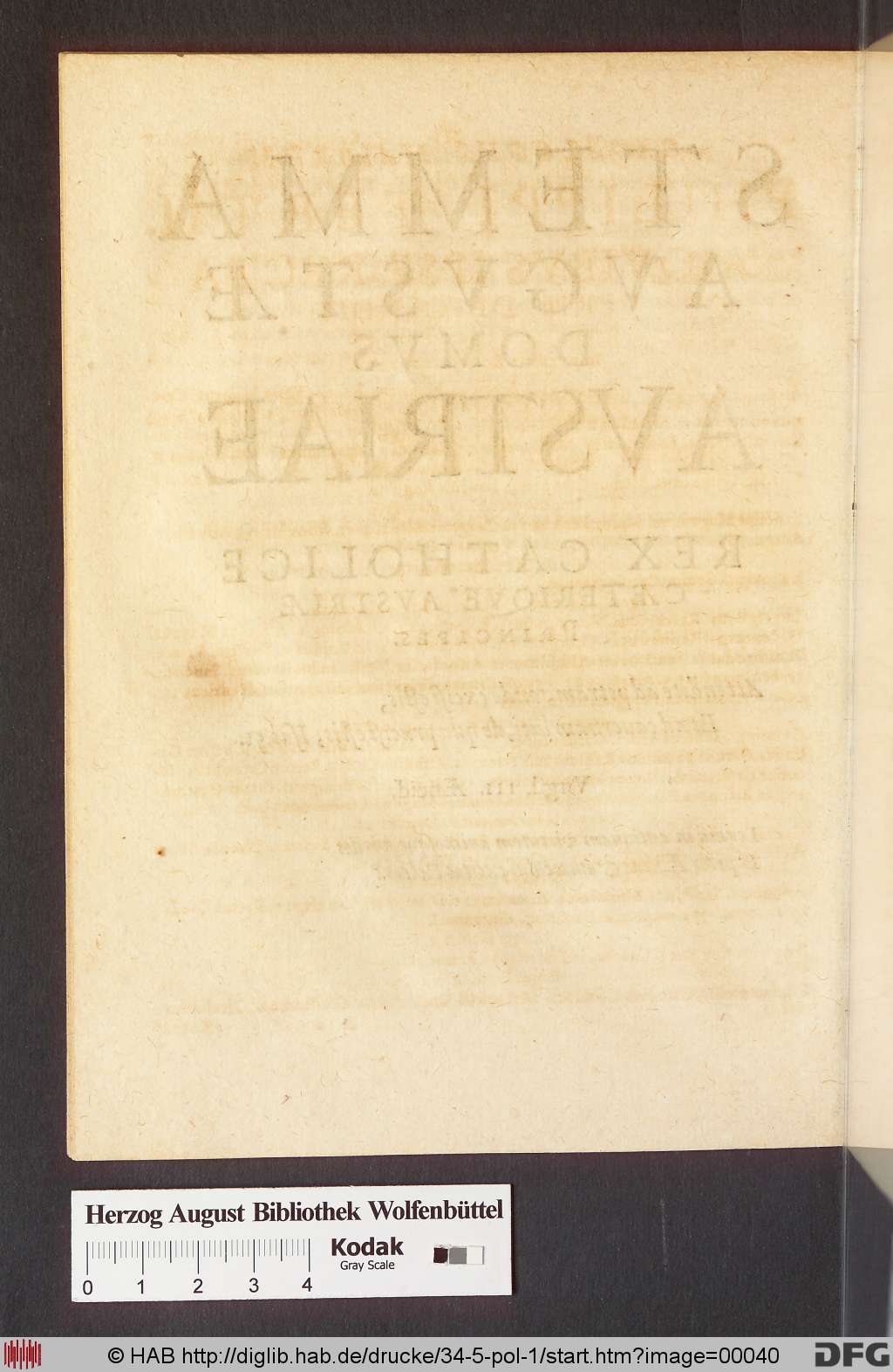 http://diglib.hab.de/drucke/34-5-pol-1/00040.jpg