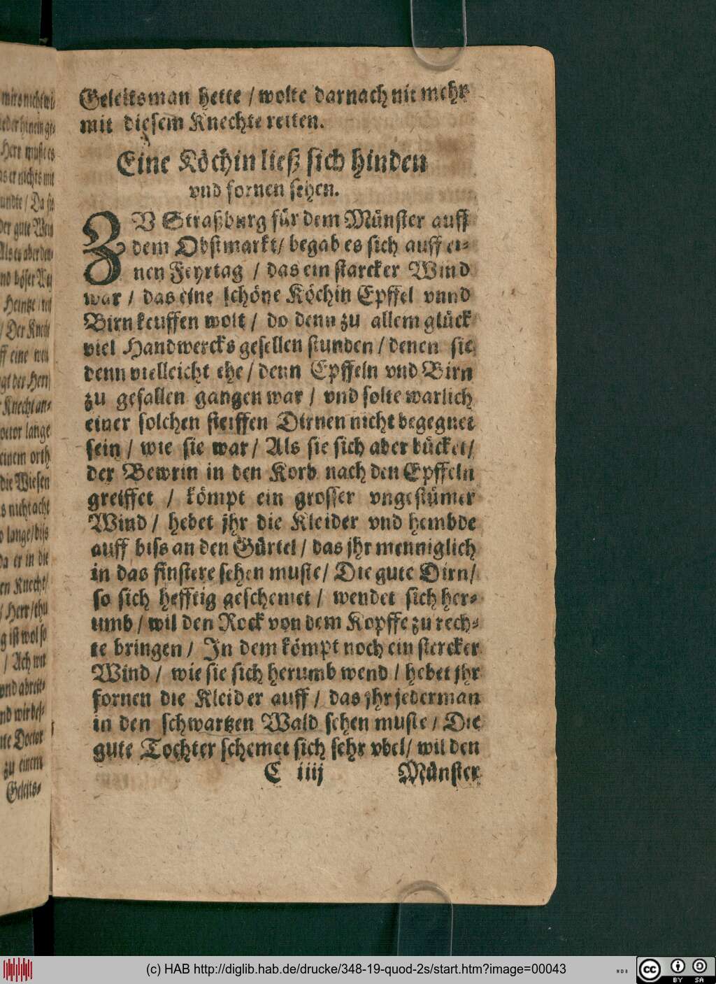 http://diglib.hab.de/drucke/348-19-quod-2s/00043.jpg