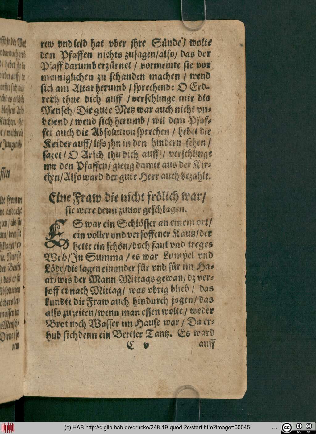 http://diglib.hab.de/drucke/348-19-quod-2s/00045.jpg