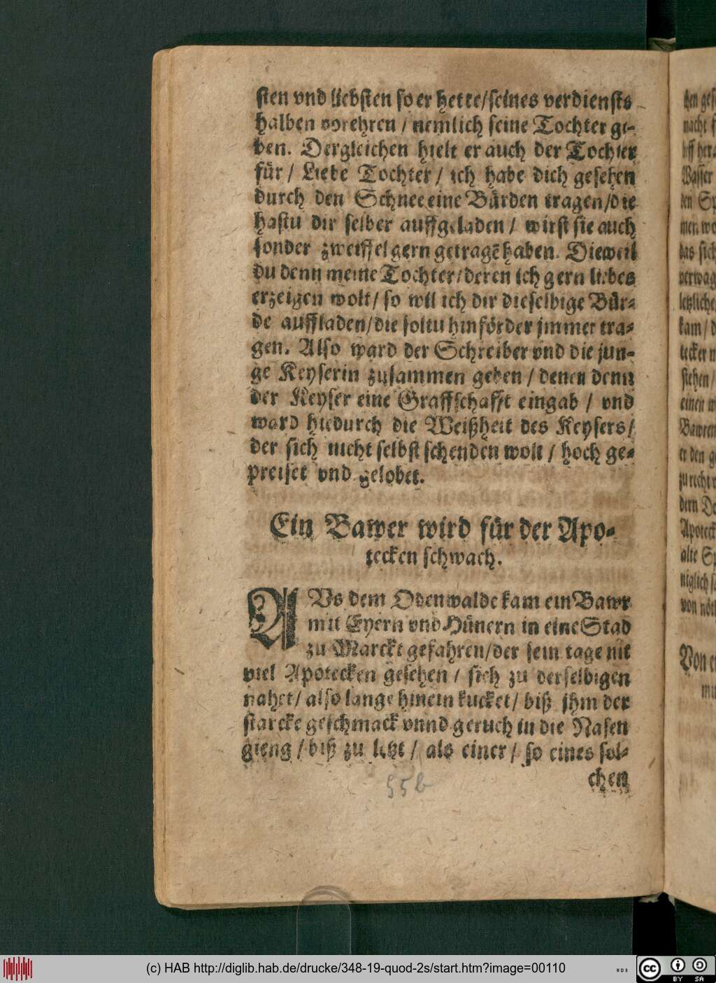 http://diglib.hab.de/drucke/348-19-quod-2s/00110.jpg