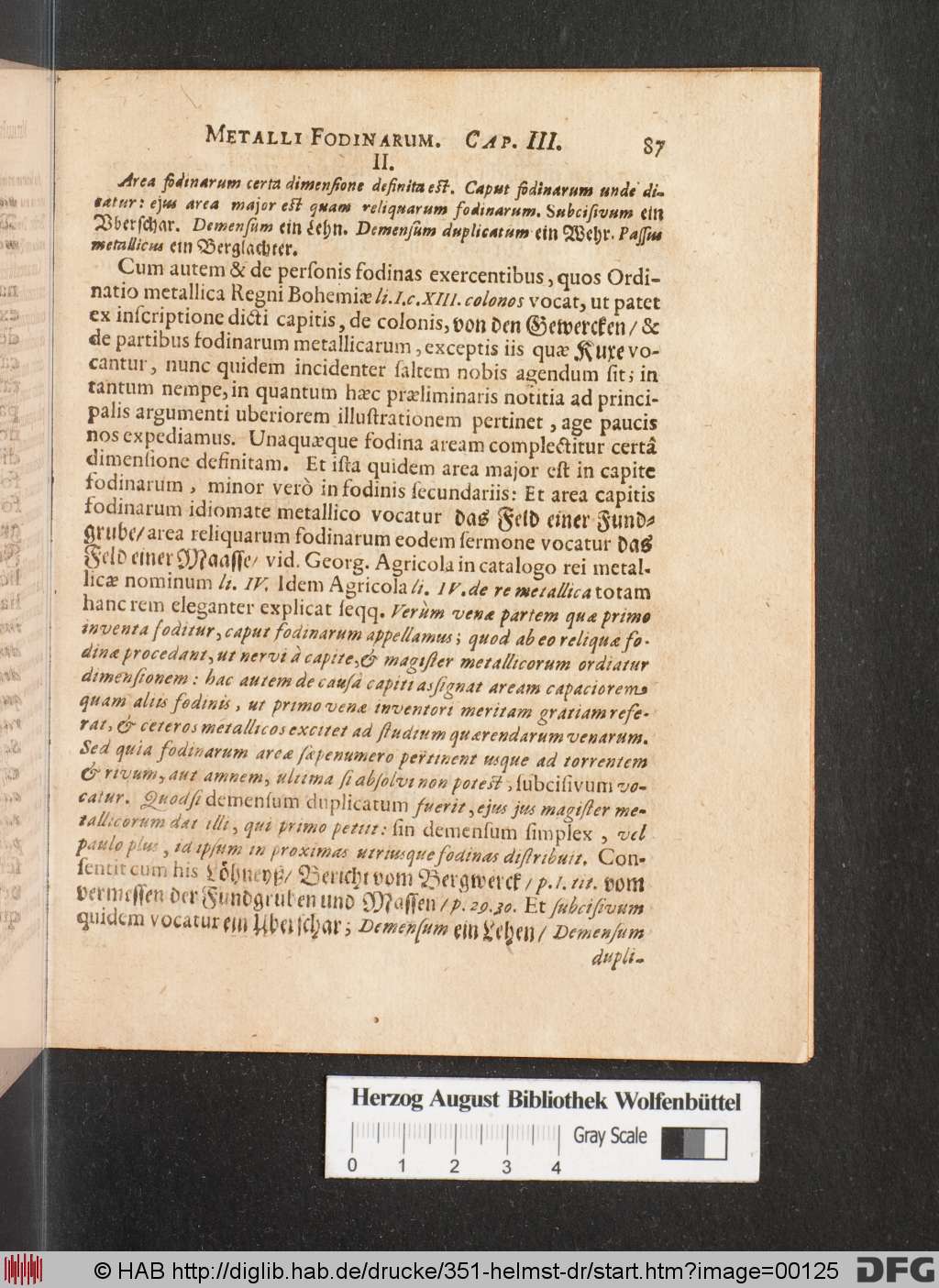 http://diglib.hab.de/drucke/351-helmst-dr/00125.jpg