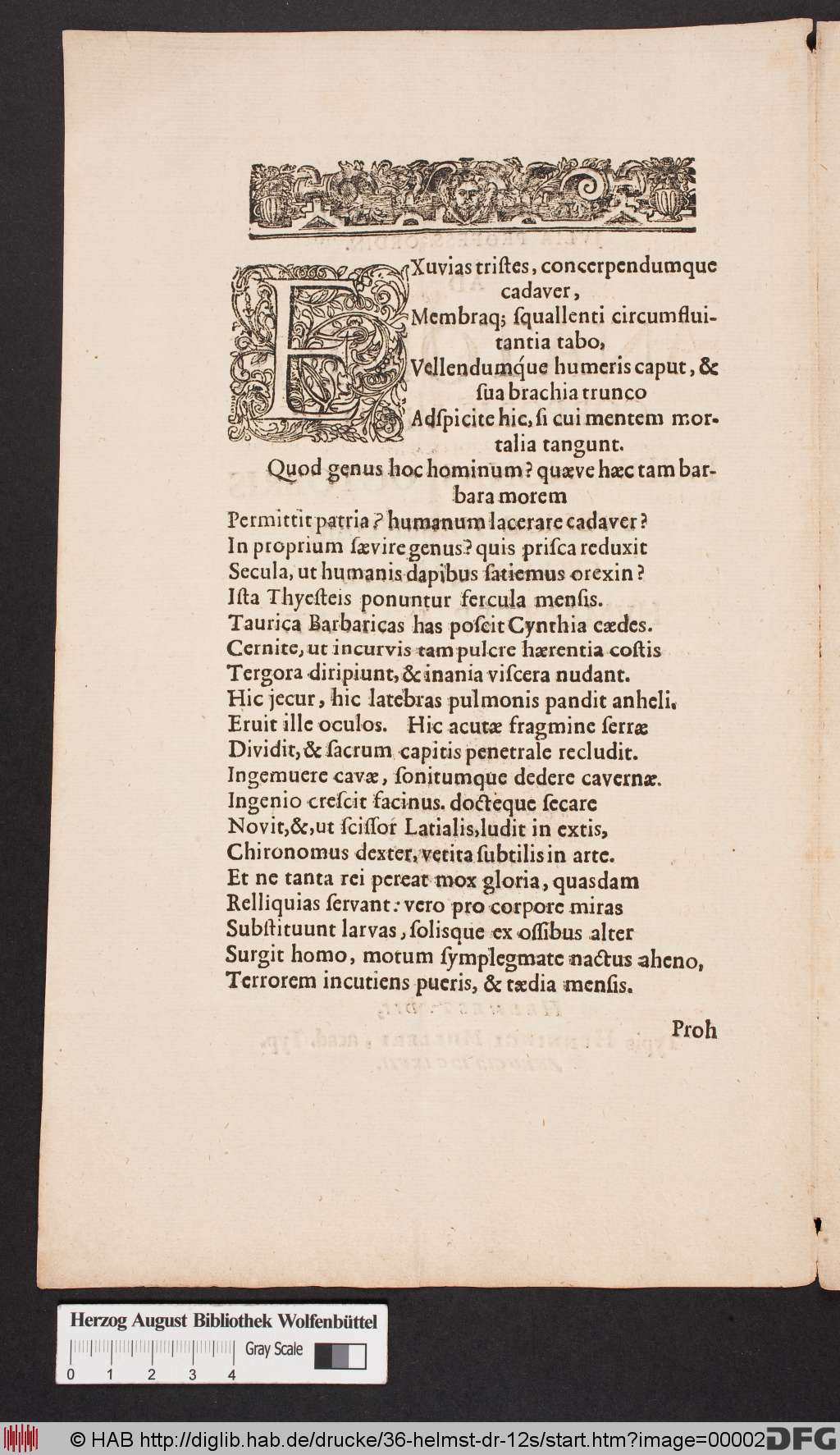 http://diglib.hab.de/drucke/36-helmst-dr-12s/00002.jpg