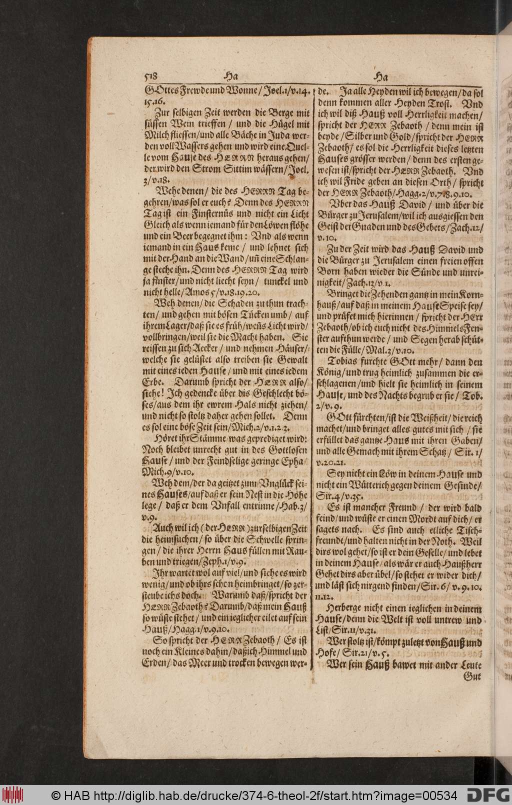 http://diglib.hab.de/drucke/374-6-theol-2f/00534.jpg