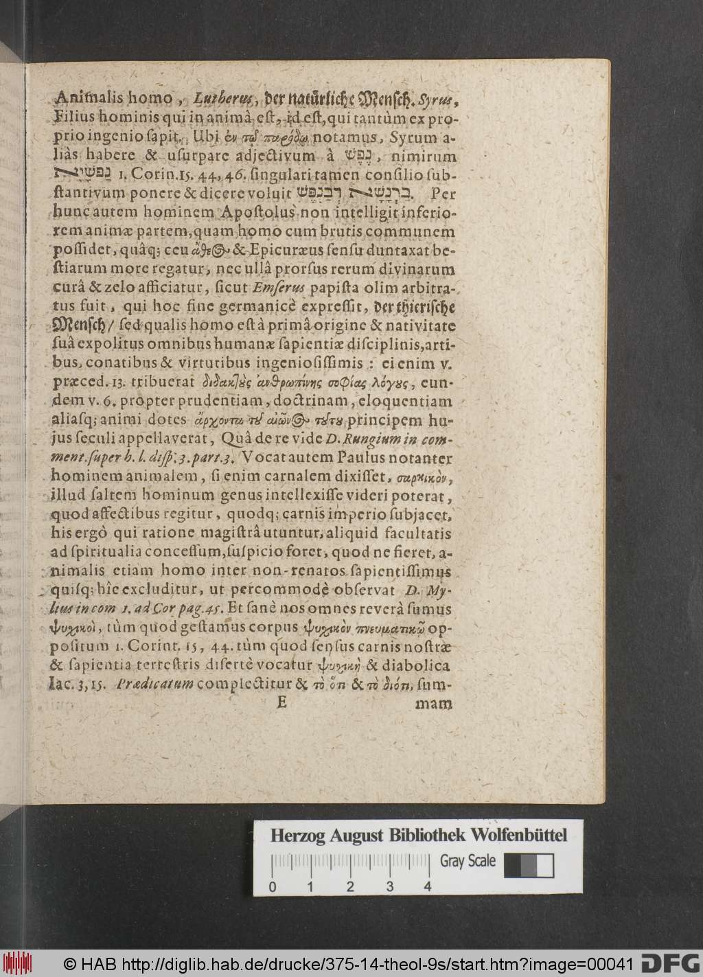 http://diglib.hab.de/drucke/375-14-theol-9s/00041.jpg