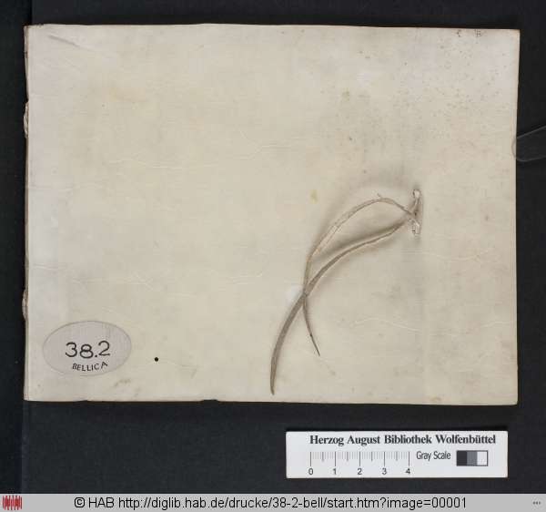 http://diglib.hab.de/drucke/38-2-bell/min/00001.jpg