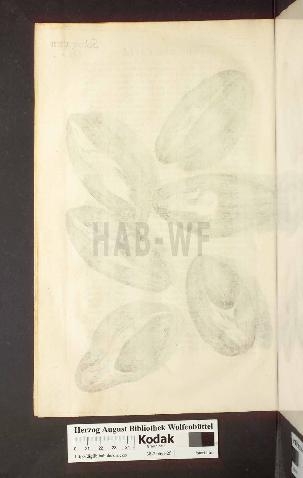 http://diglib.hab.de/drucke/38-2-phys-2f/00216.jpg