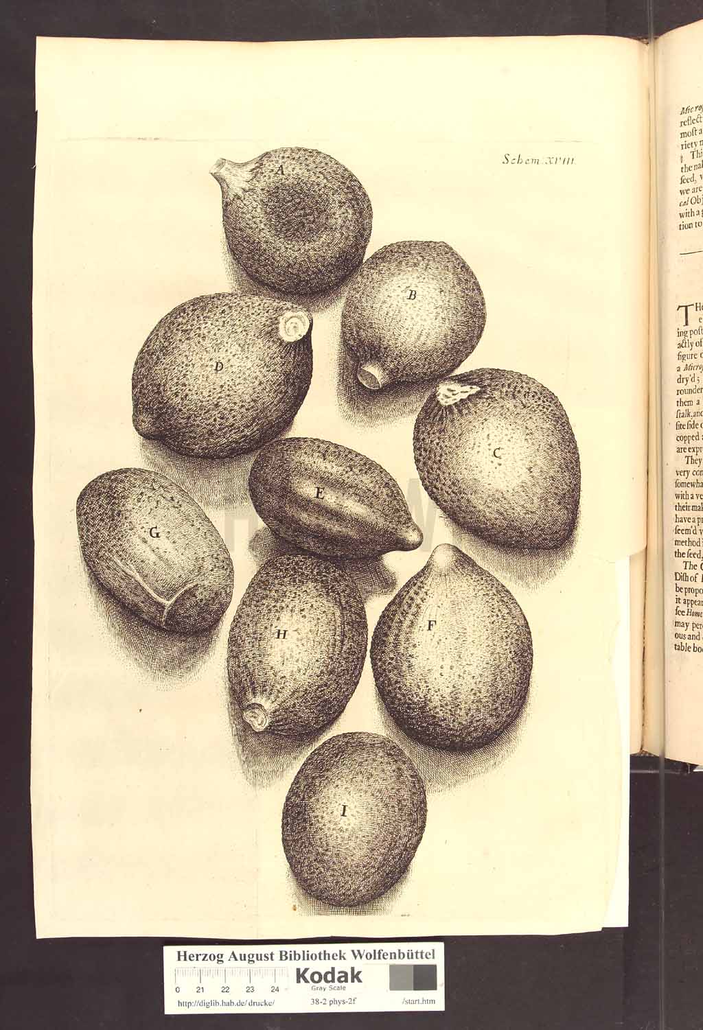 http://diglib.hab.de/drucke/38-2-phys-2f/00216b.jpg