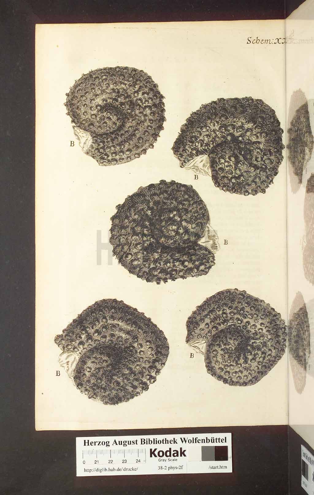 http://diglib.hab.de/drucke/38-2-phys-2f/00224.jpg