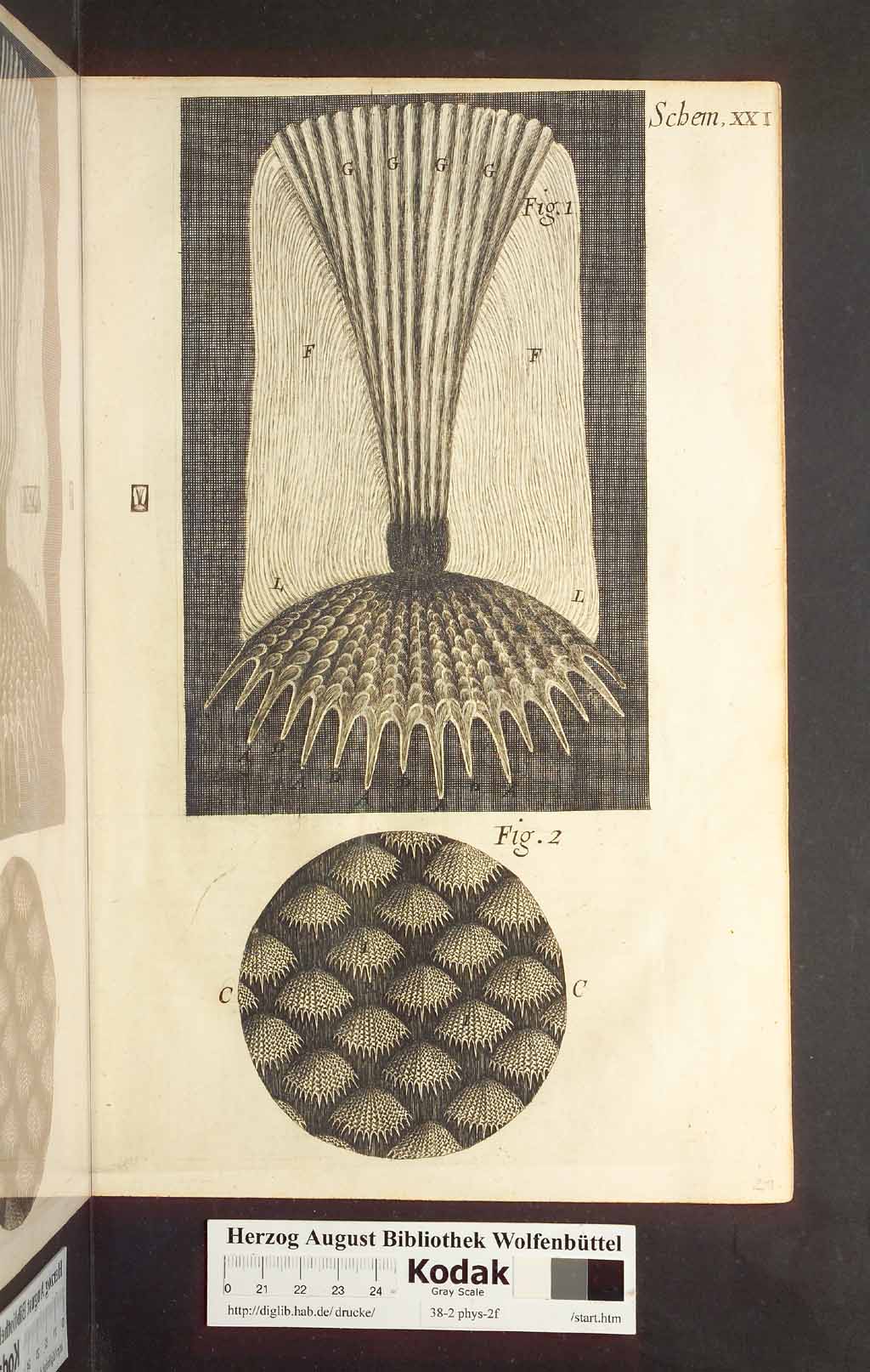 http://diglib.hab.de/drucke/38-2-phys-2f/00231.jpg