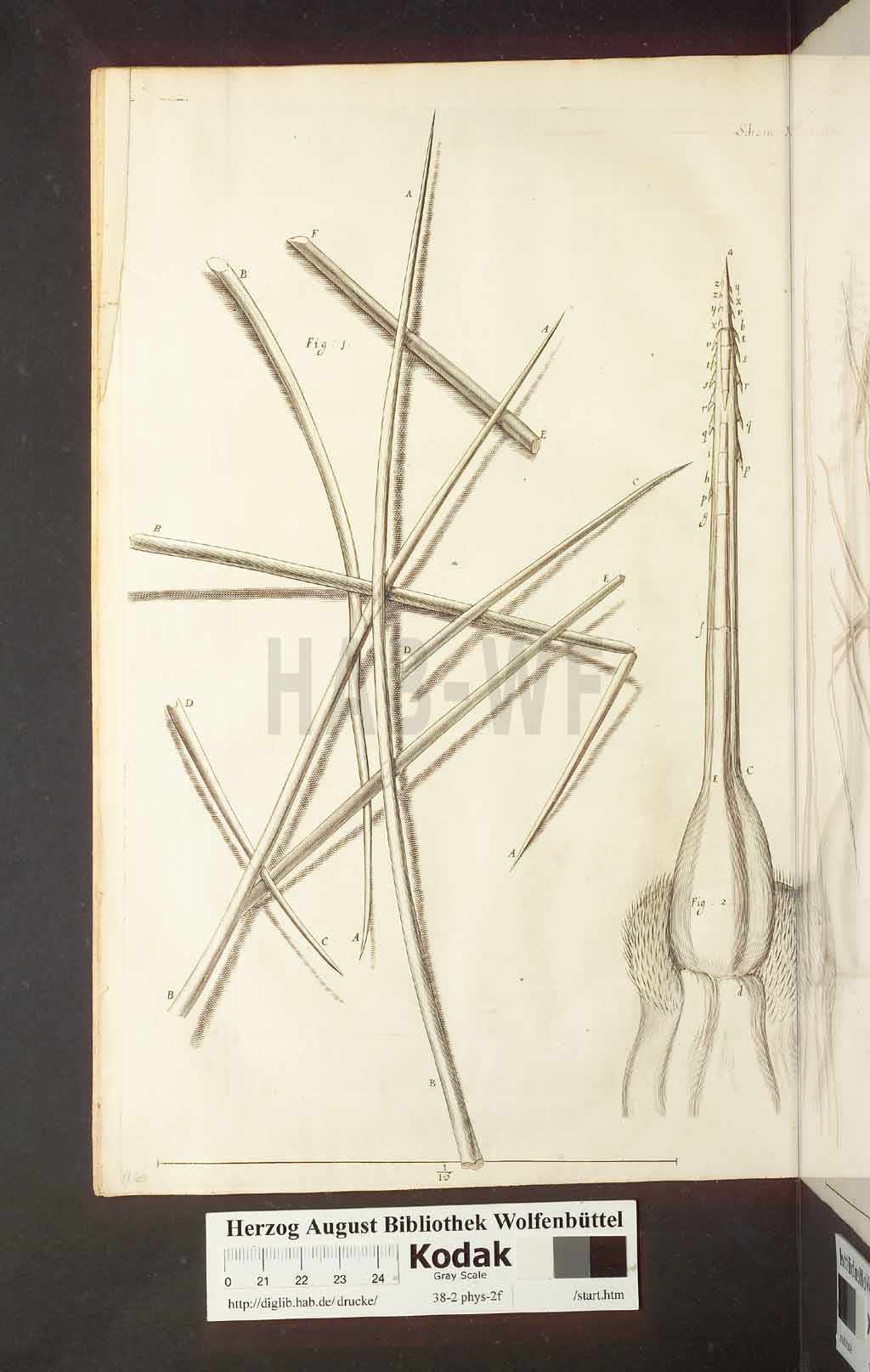 http://diglib.hab.de/drucke/38-2-phys-2f/00234.jpg