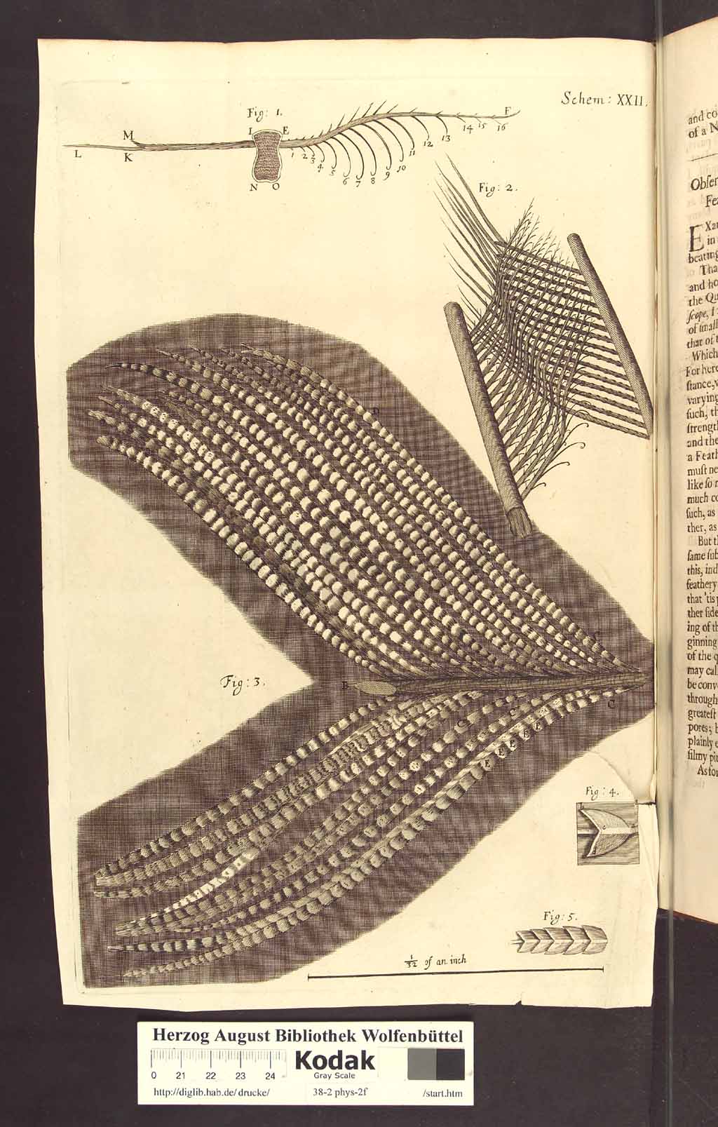 http://diglib.hab.de/drucke/38-2-phys-2f/00236b.jpg