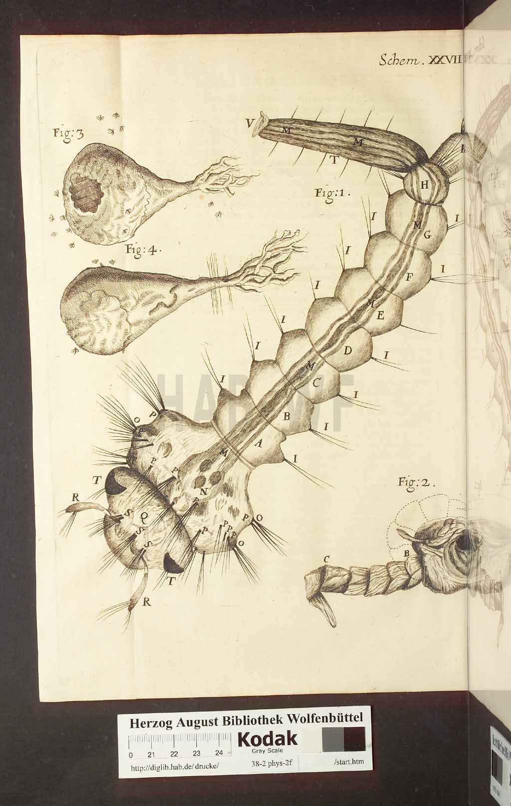 http://diglib.hab.de/drucke/38-2-phys-2f/00264.jpg