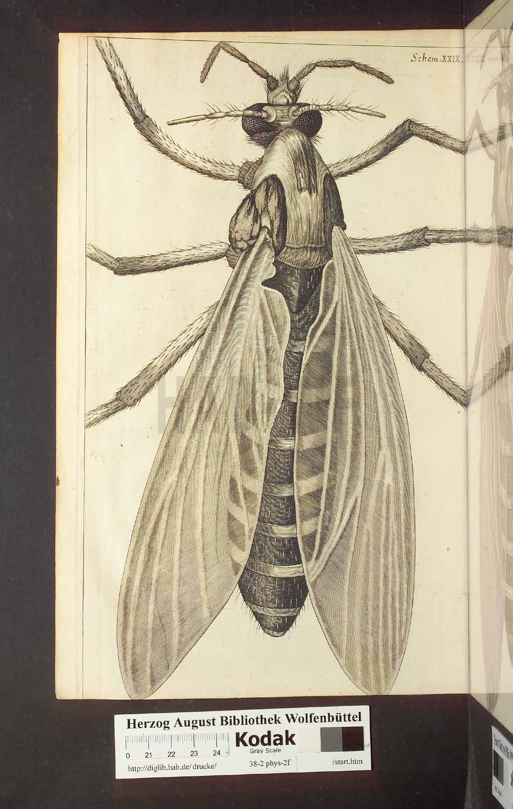 http://diglib.hab.de/drucke/38-2-phys-2f/00278.jpg