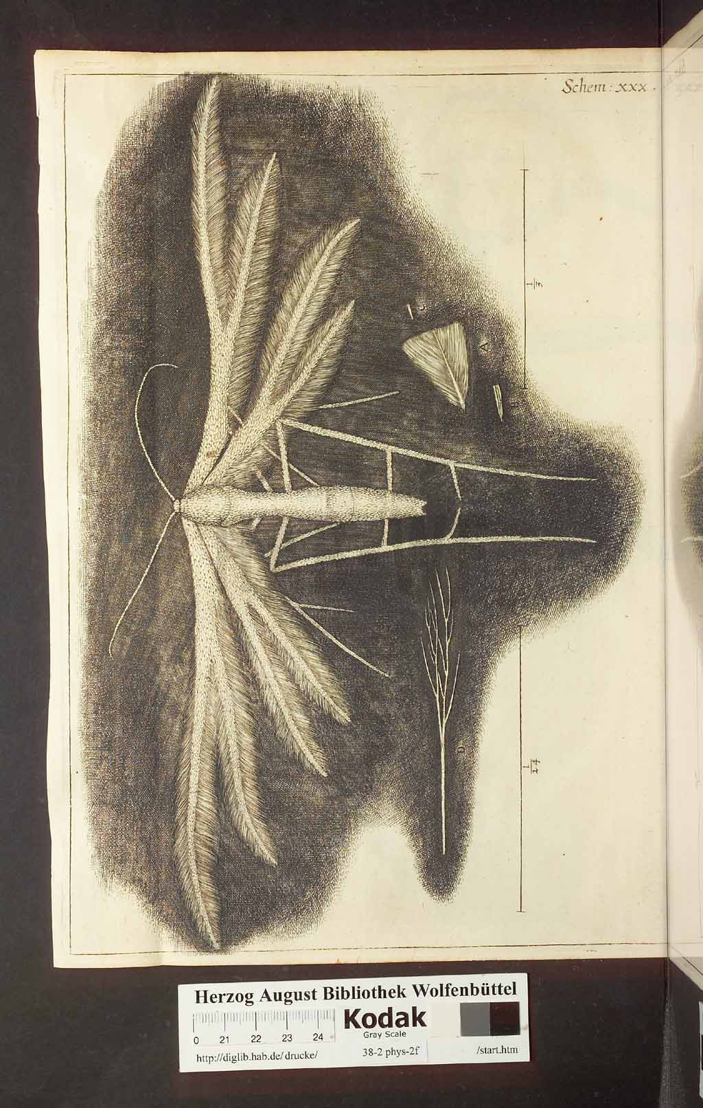 http://diglib.hab.de/drucke/38-2-phys-2f/00280.jpg