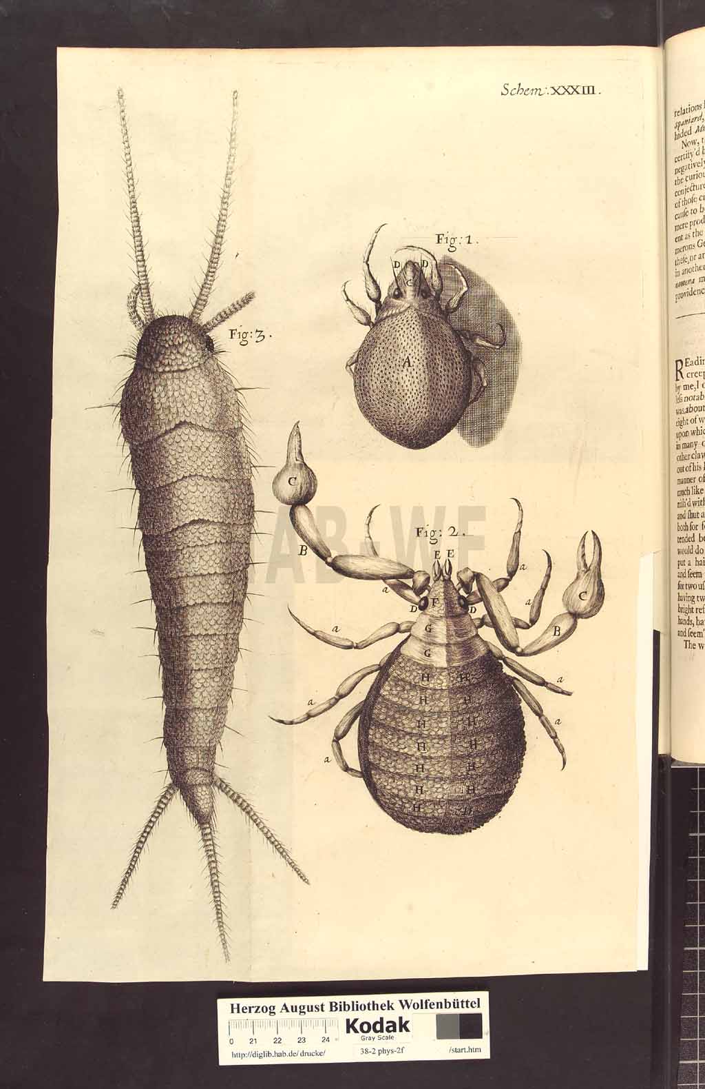 http://diglib.hab.de/drucke/38-2-phys-2f/00296b.jpg