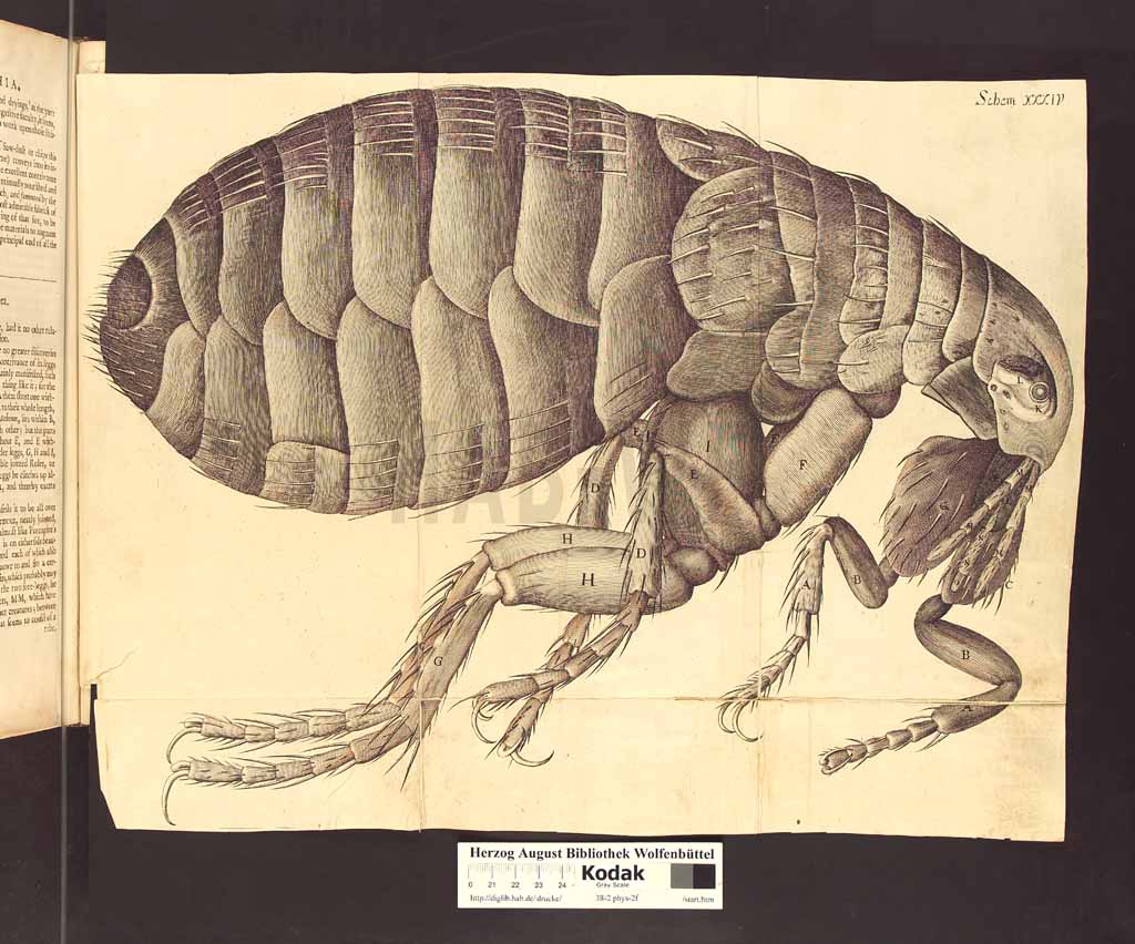 http://diglib.hab.de/drucke/38-2-phys-2f/00302a.jpg