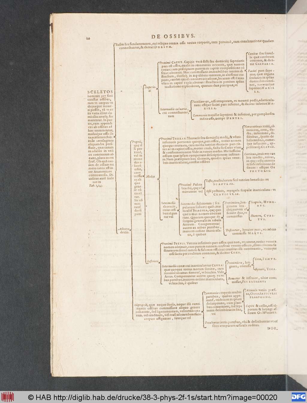 http://diglib.hab.de/drucke/38-3-phys-2f-1s/00020.jpg
