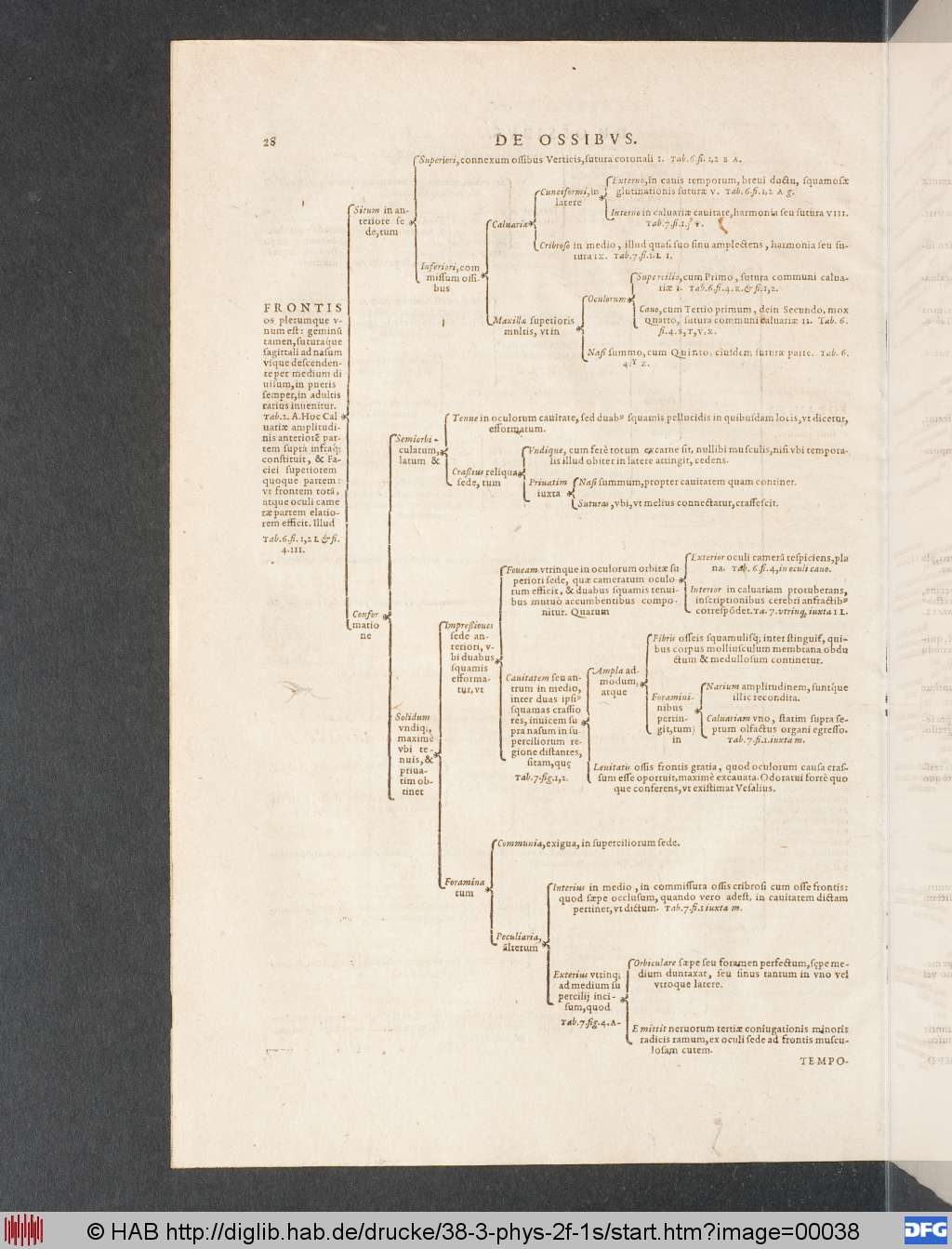 http://diglib.hab.de/drucke/38-3-phys-2f-1s/00038.jpg