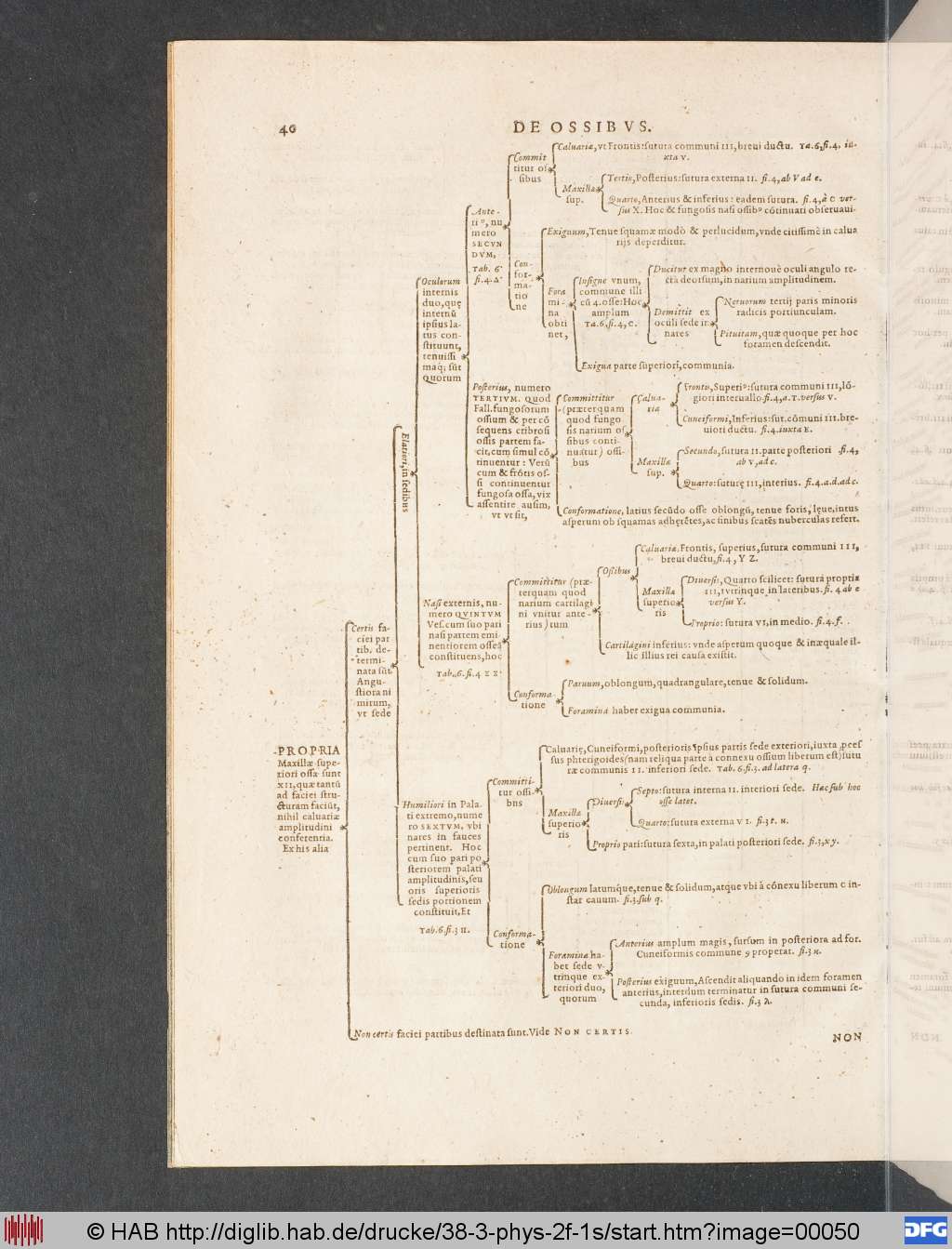 http://diglib.hab.de/drucke/38-3-phys-2f-1s/00050.jpg