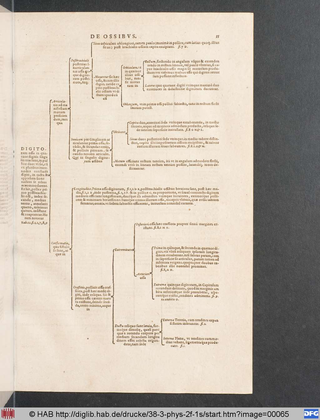 http://diglib.hab.de/drucke/38-3-phys-2f-1s/00065.jpg