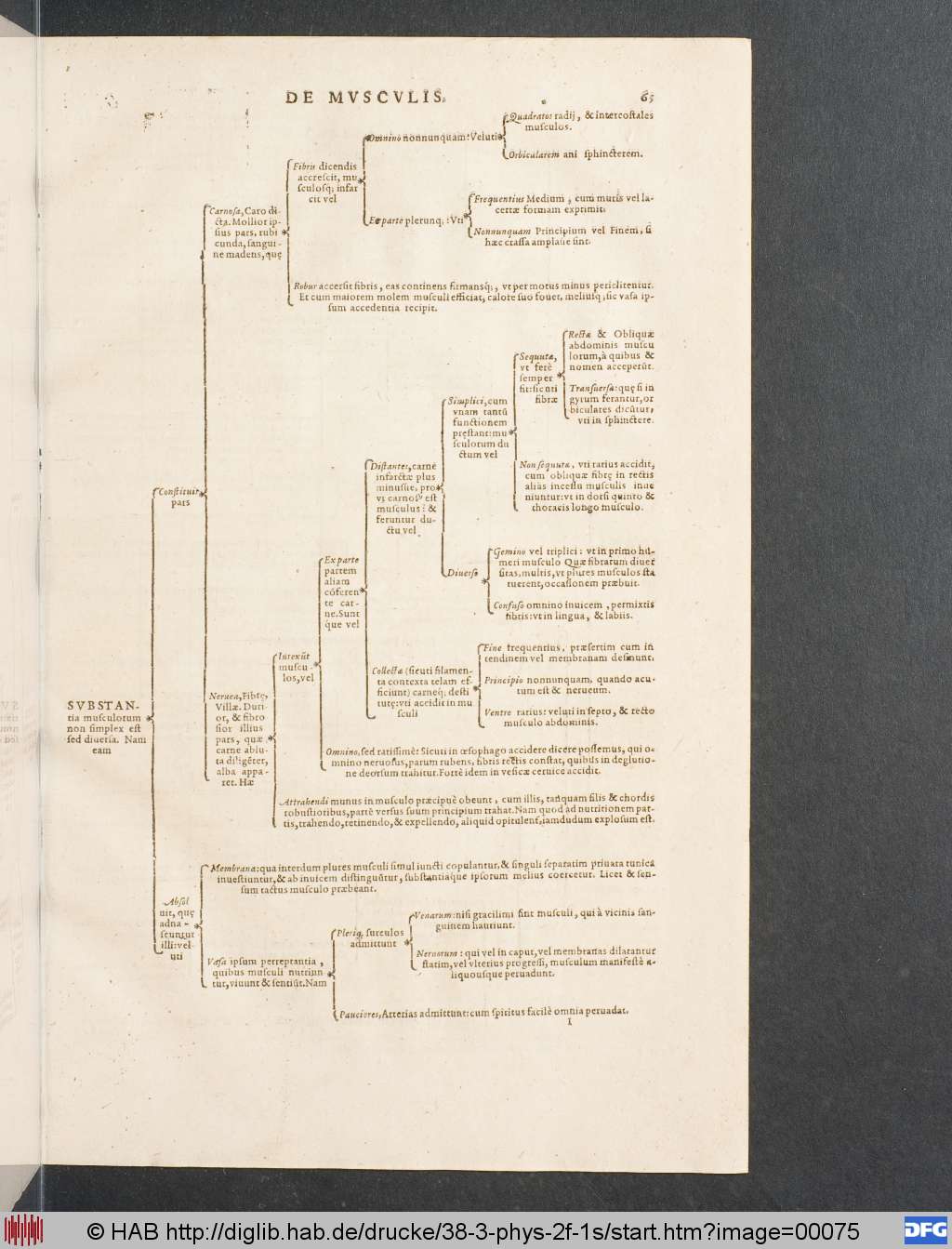 http://diglib.hab.de/drucke/38-3-phys-2f-1s/00075.jpg