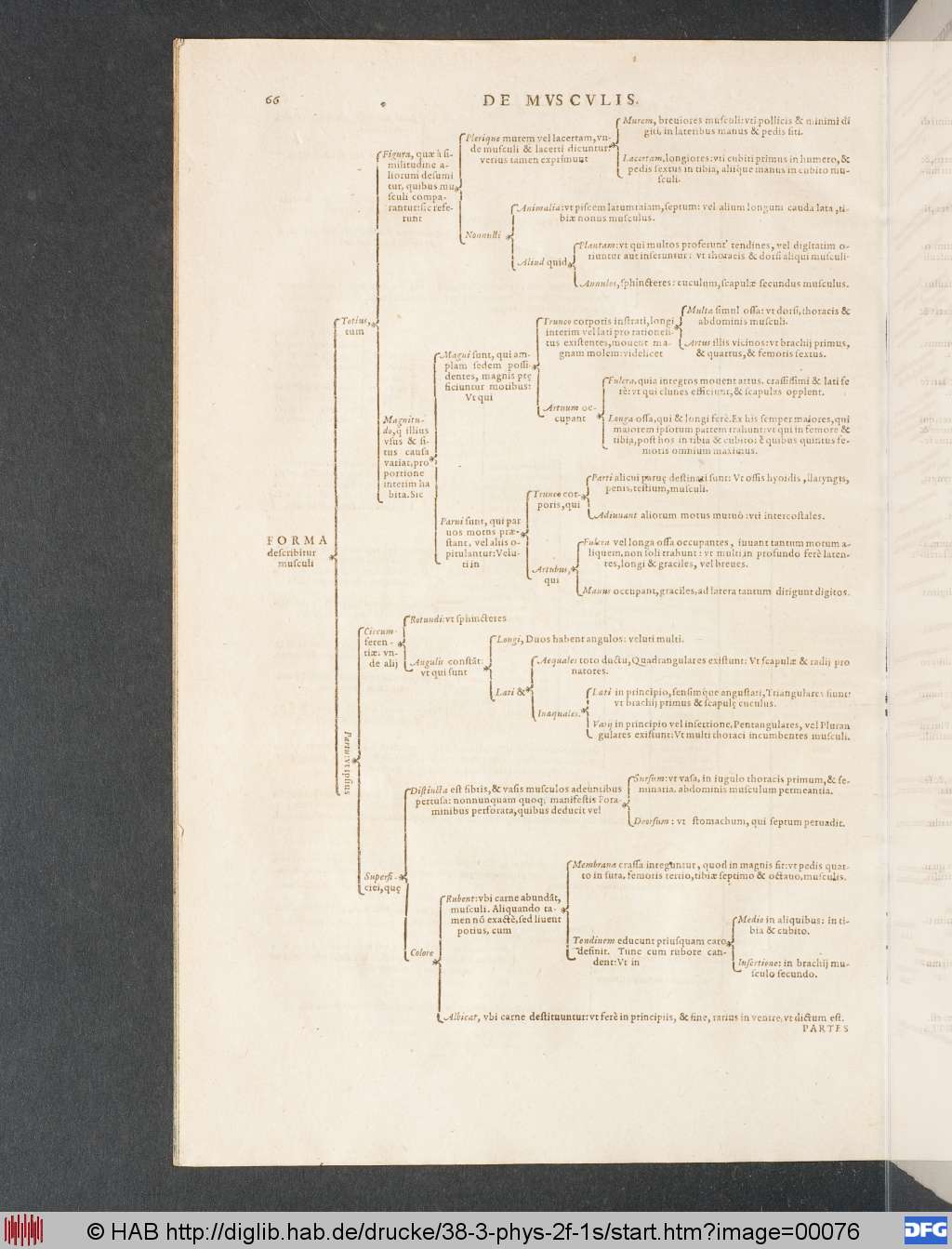 http://diglib.hab.de/drucke/38-3-phys-2f-1s/00076.jpg