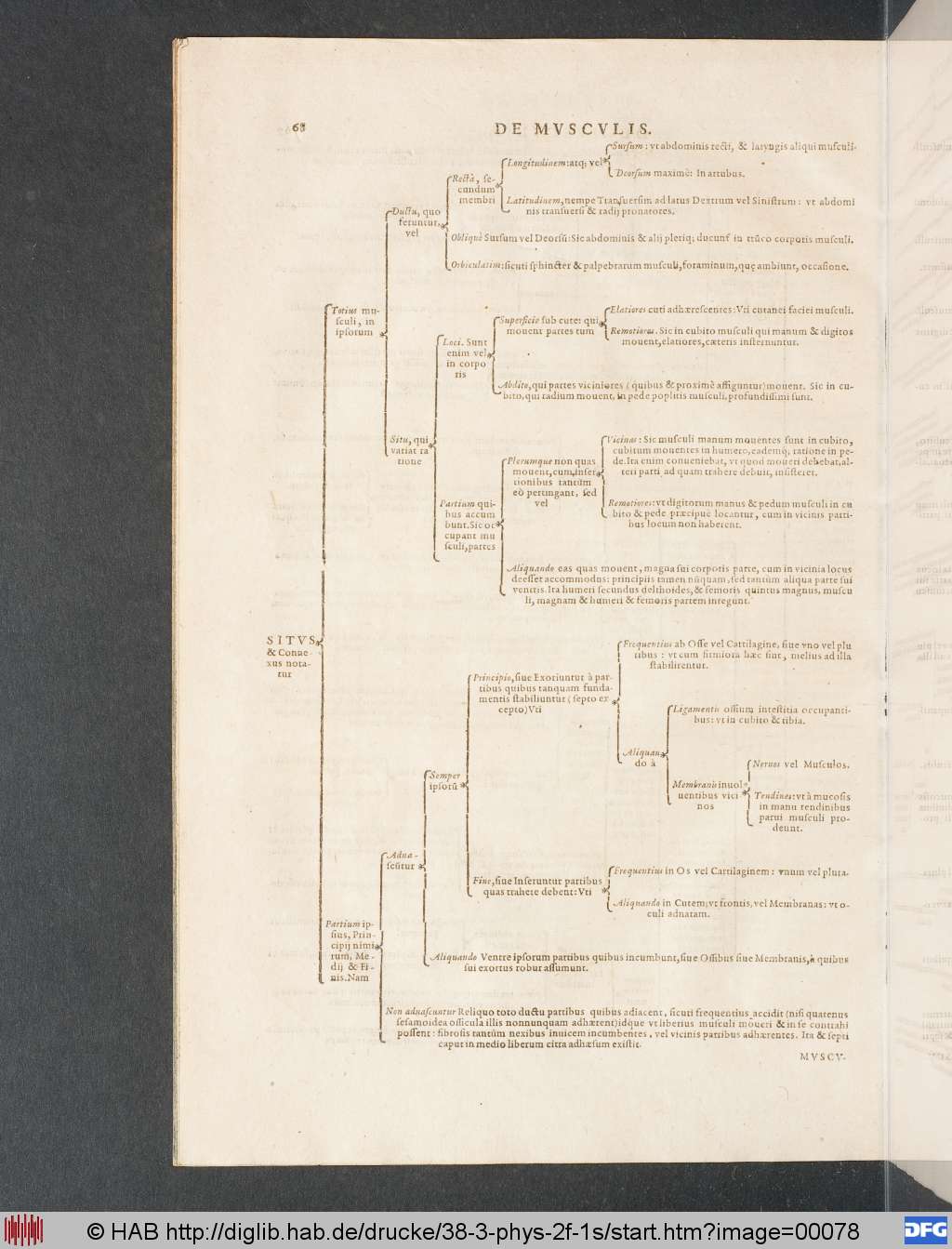 http://diglib.hab.de/drucke/38-3-phys-2f-1s/00078.jpg