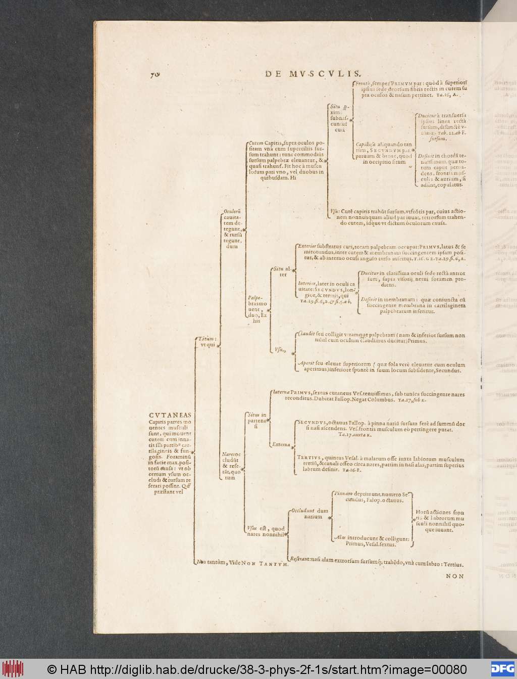 http://diglib.hab.de/drucke/38-3-phys-2f-1s/00080.jpg