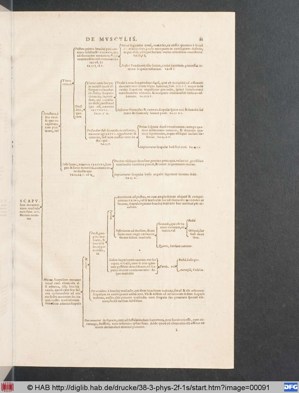 http://diglib.hab.de/drucke/38-3-phys-2f-1s/00091.jpg