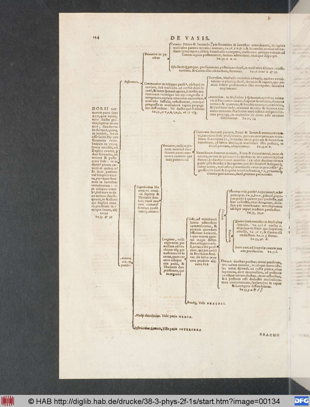 http://diglib.hab.de/drucke/38-3-phys-2f-1s/00134.jpg
