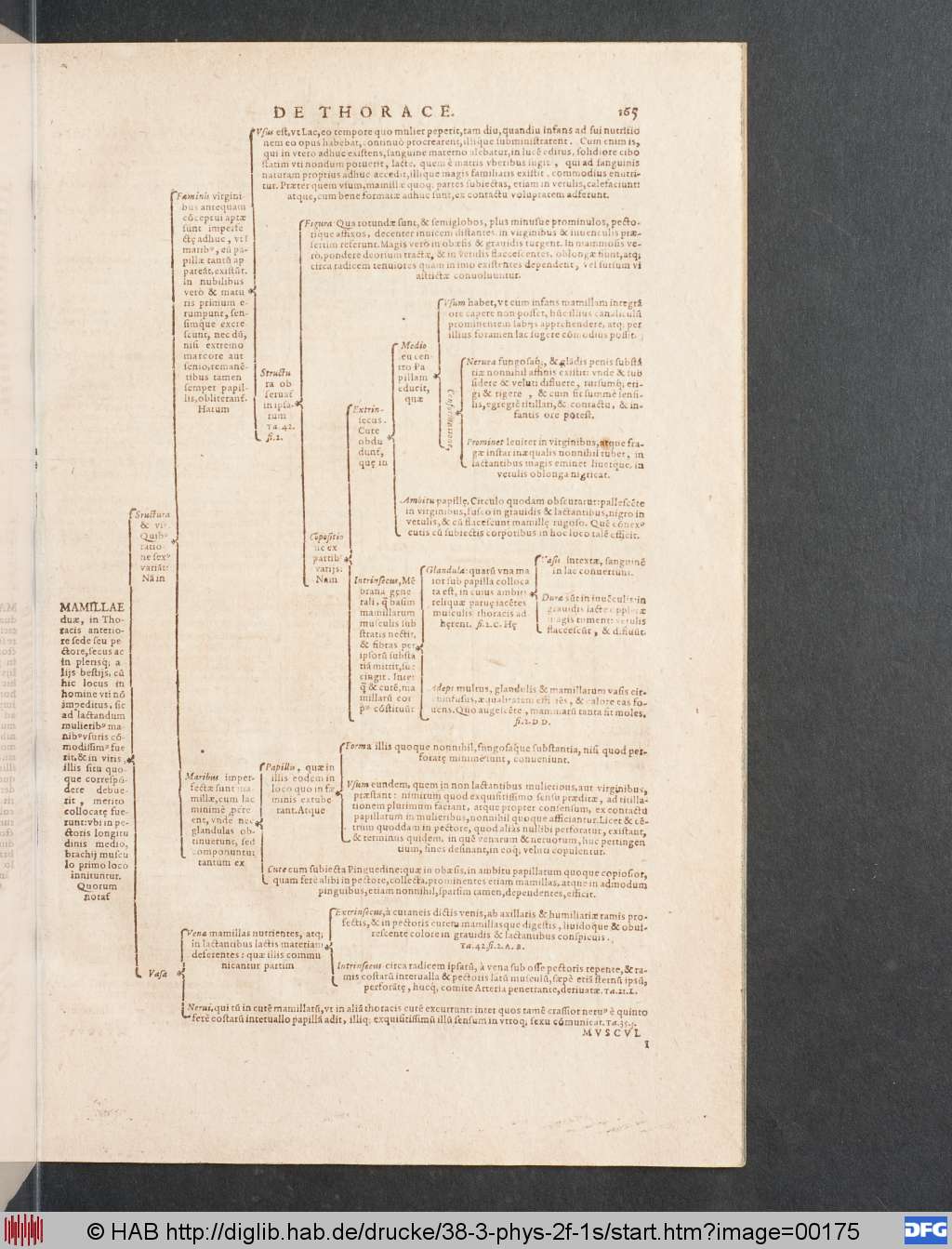 http://diglib.hab.de/drucke/38-3-phys-2f-1s/00175.jpg