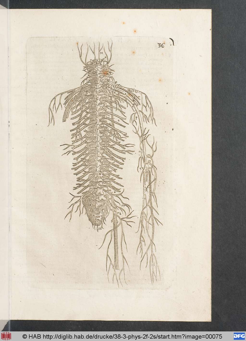 http://diglib.hab.de/drucke/38-3-phys-2f-2s/00075.jpg