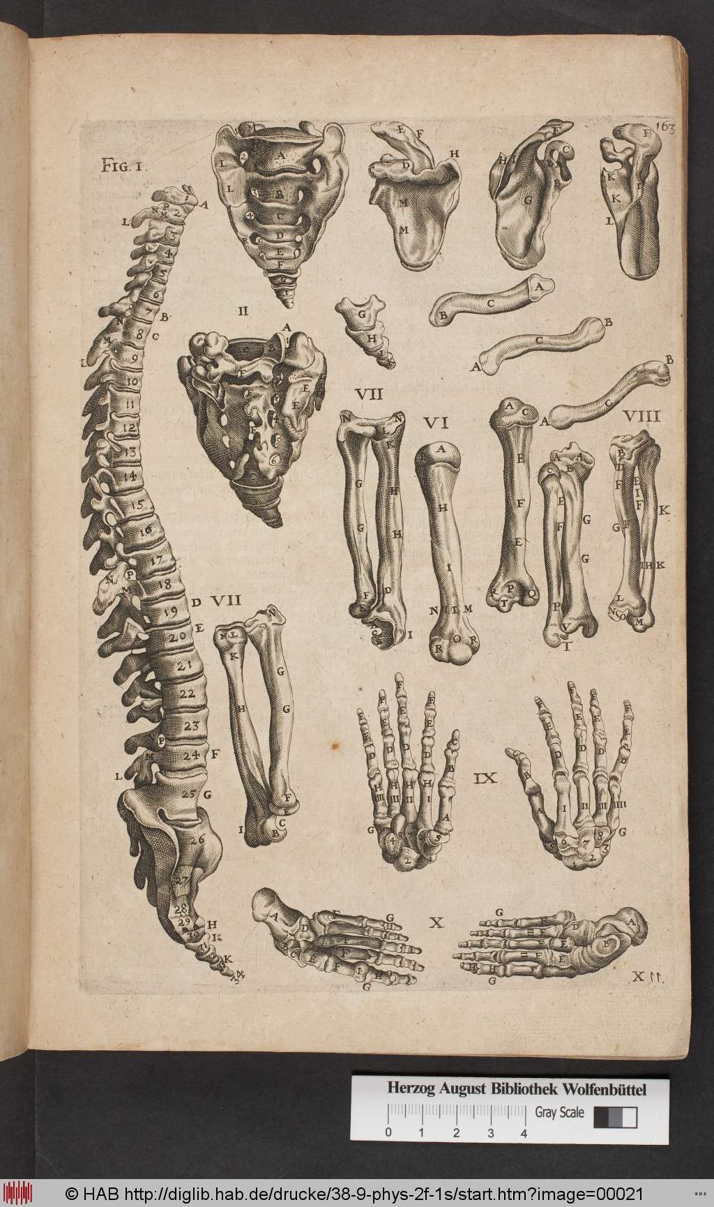 http://diglib.hab.de/drucke/38-9-phys-2f-1s/00021.jpg