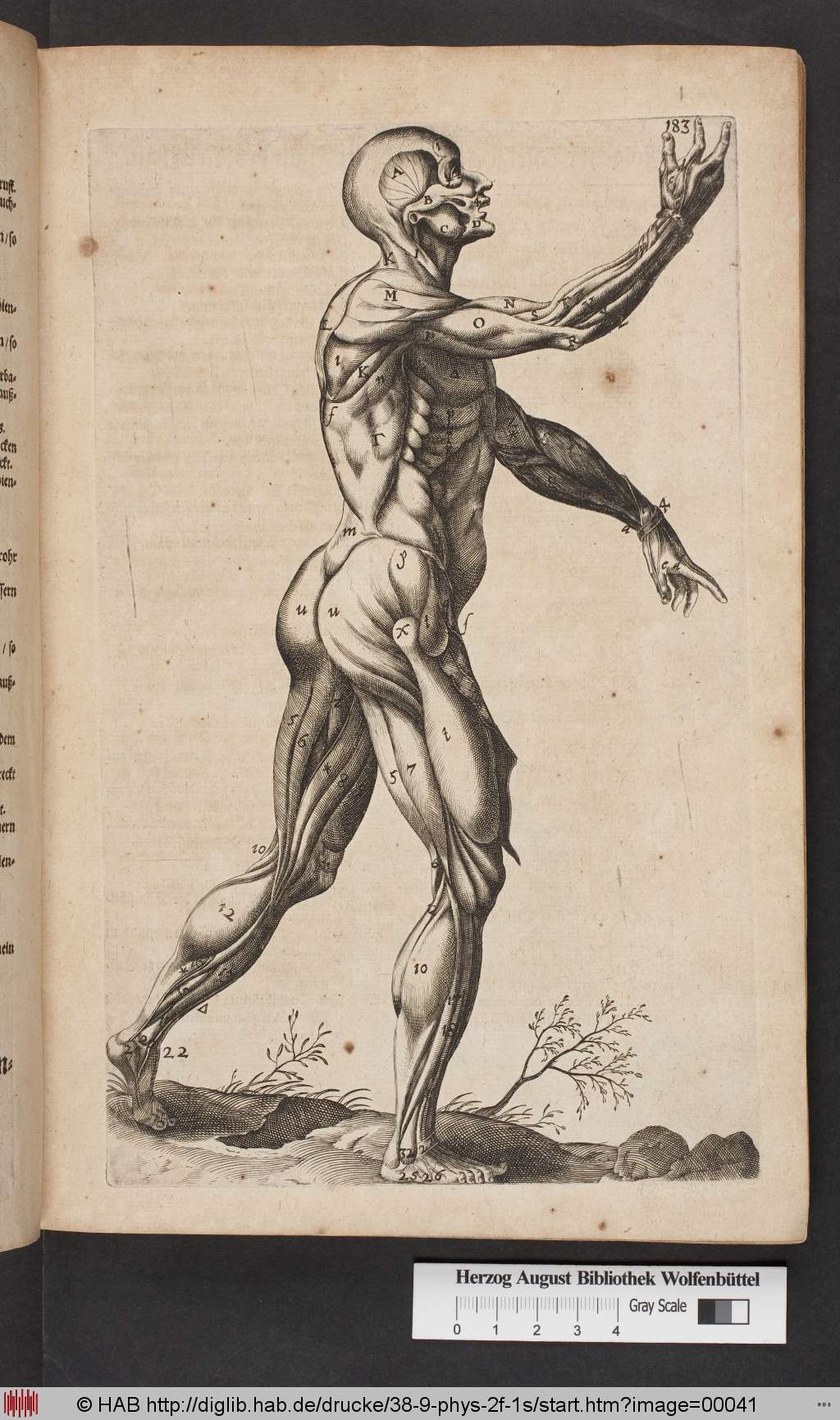 http://diglib.hab.de/drucke/38-9-phys-2f-1s/00041.jpg