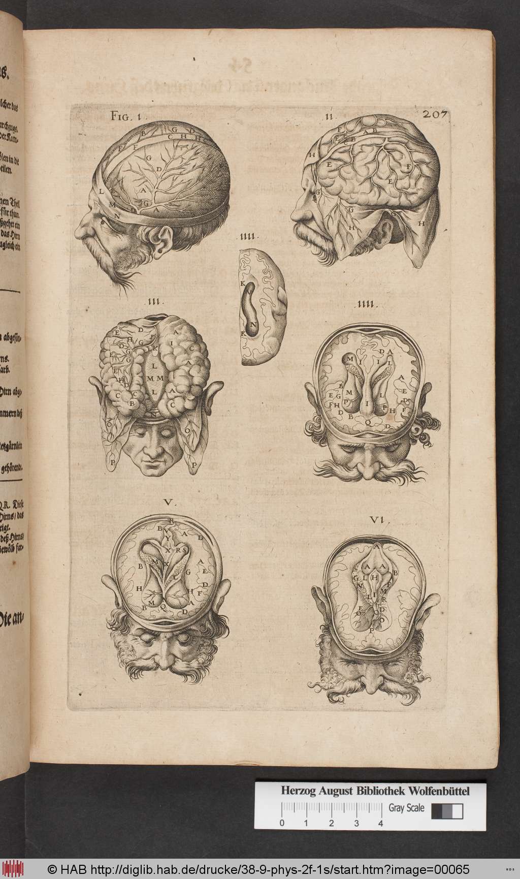 http://diglib.hab.de/drucke/38-9-phys-2f-1s/00065.jpg
